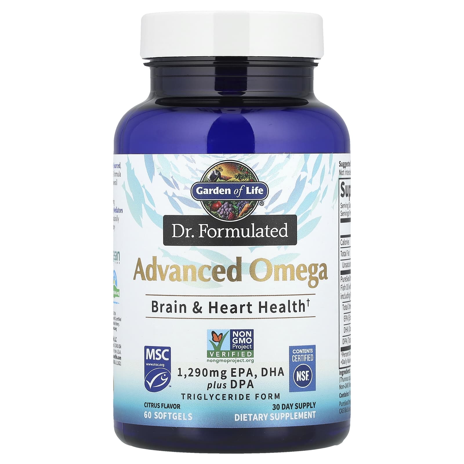 Advanced Omega-3 Formula for Heart & Brain Health | 645 mg EPA, DHA - Image 1