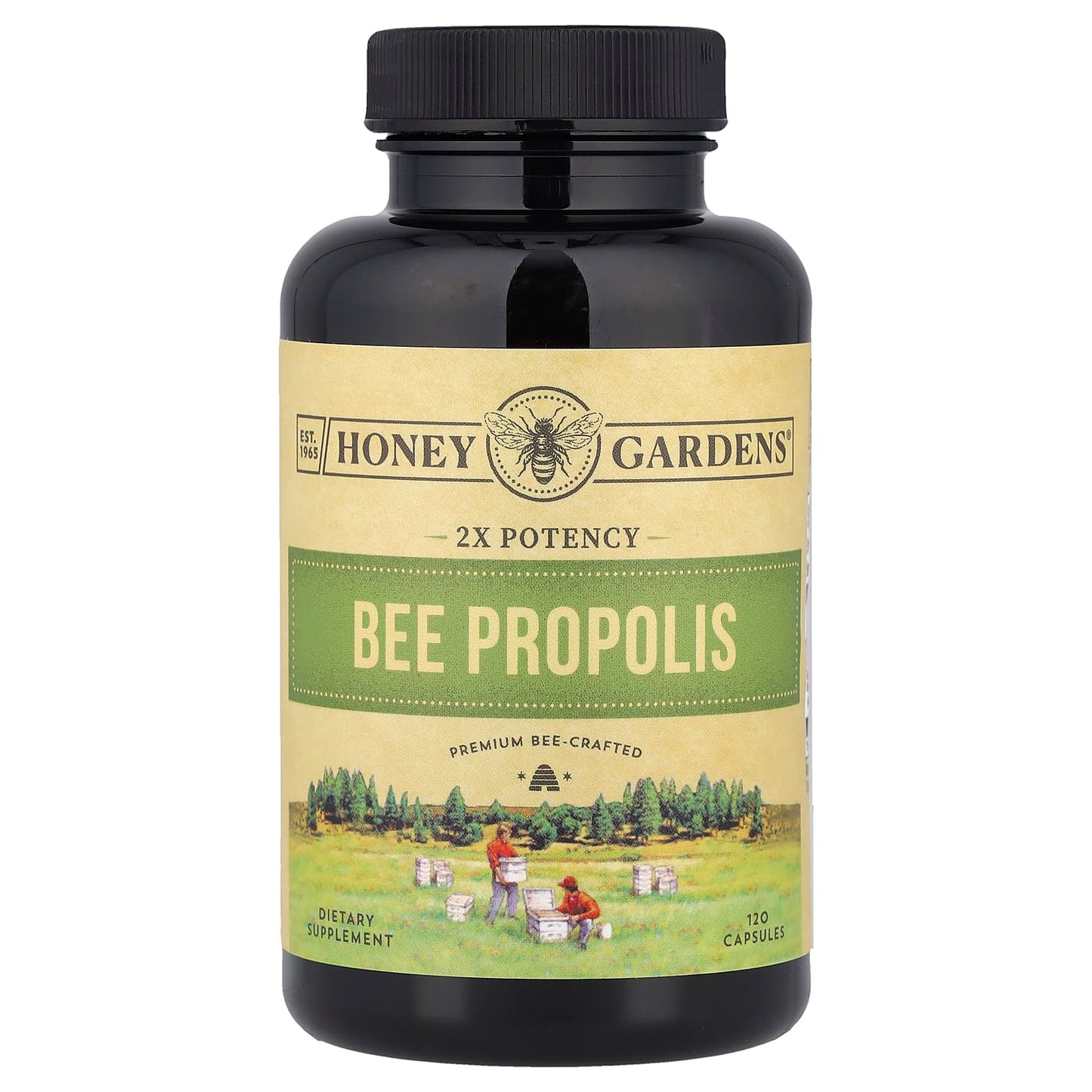 Zand, Bee Propolis, 2X Potency, 120 Capsules (400 mg per Capsule) - Image 1