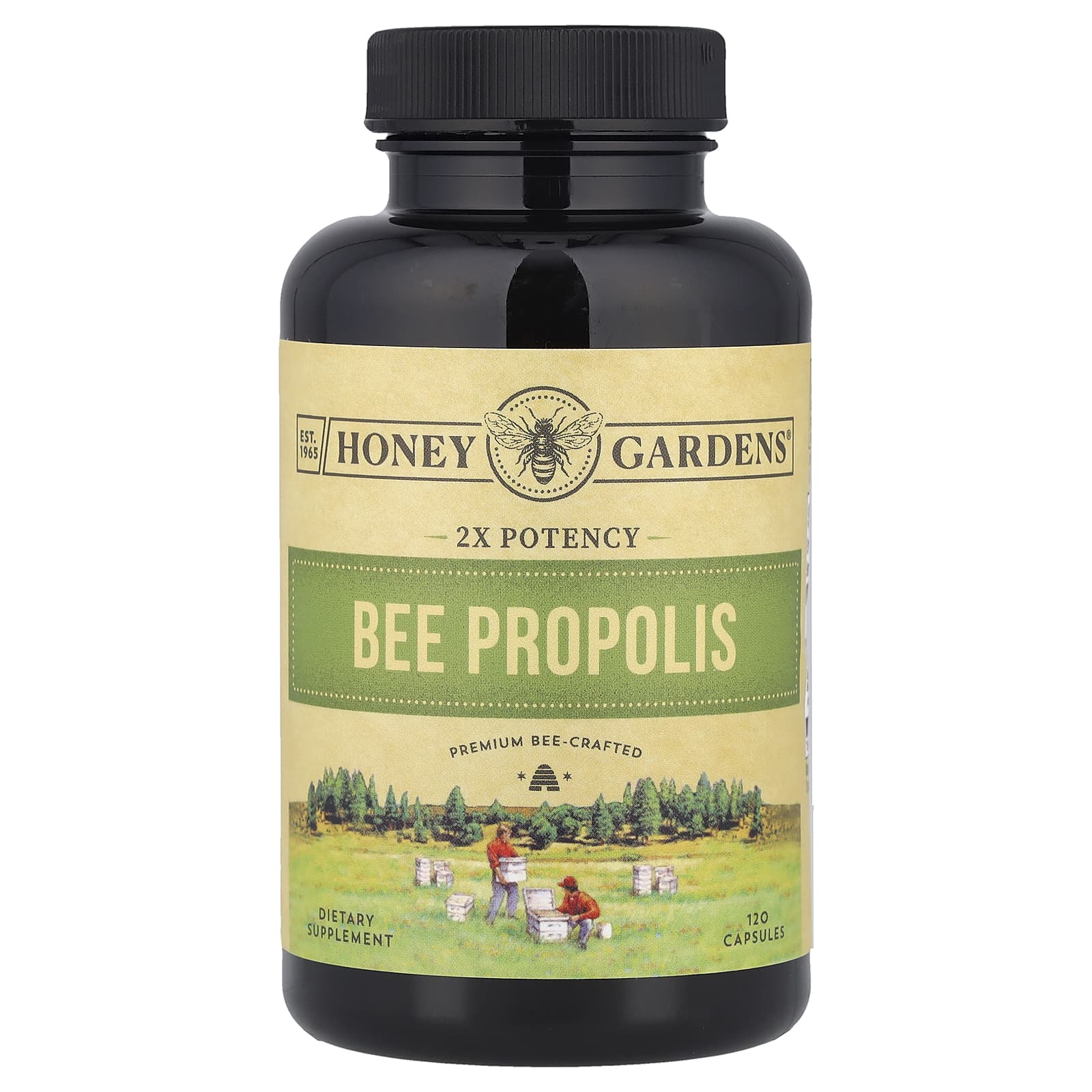 Zand, Bee Propolis, 2X Potency, 120 Capsules (400 mg per Capsule) - Image 1