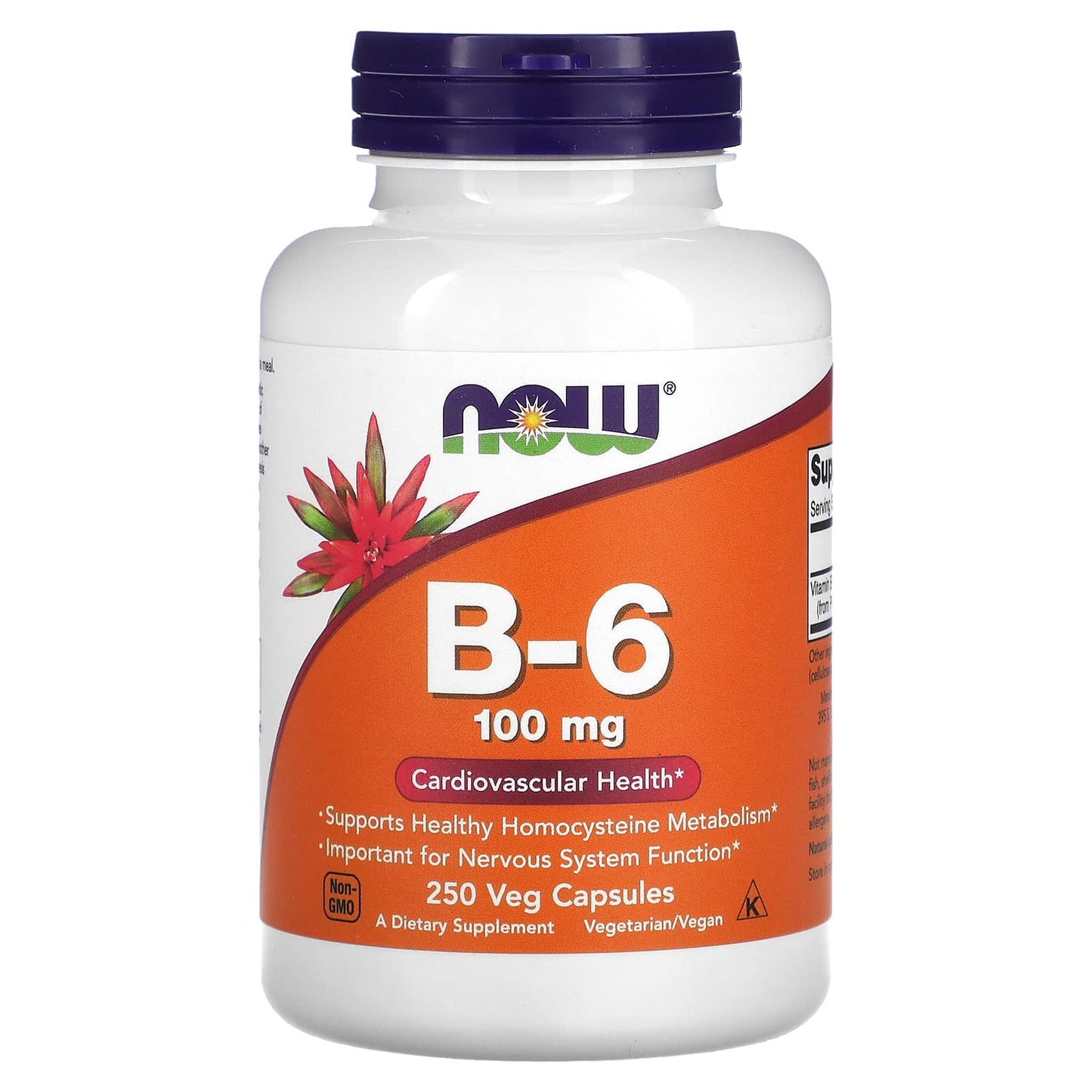 NOW Foods, B-6, 100 mg, 250 Veg Capsules - Image 1
