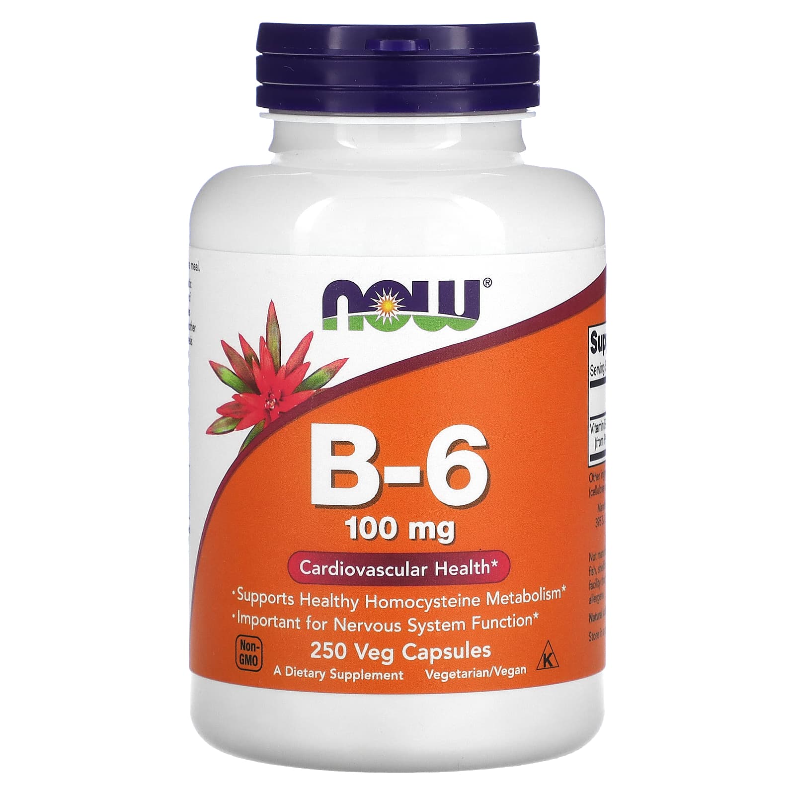 NOW Foods, B-6, 100 mg, 250 Veg Capsules - Image 1