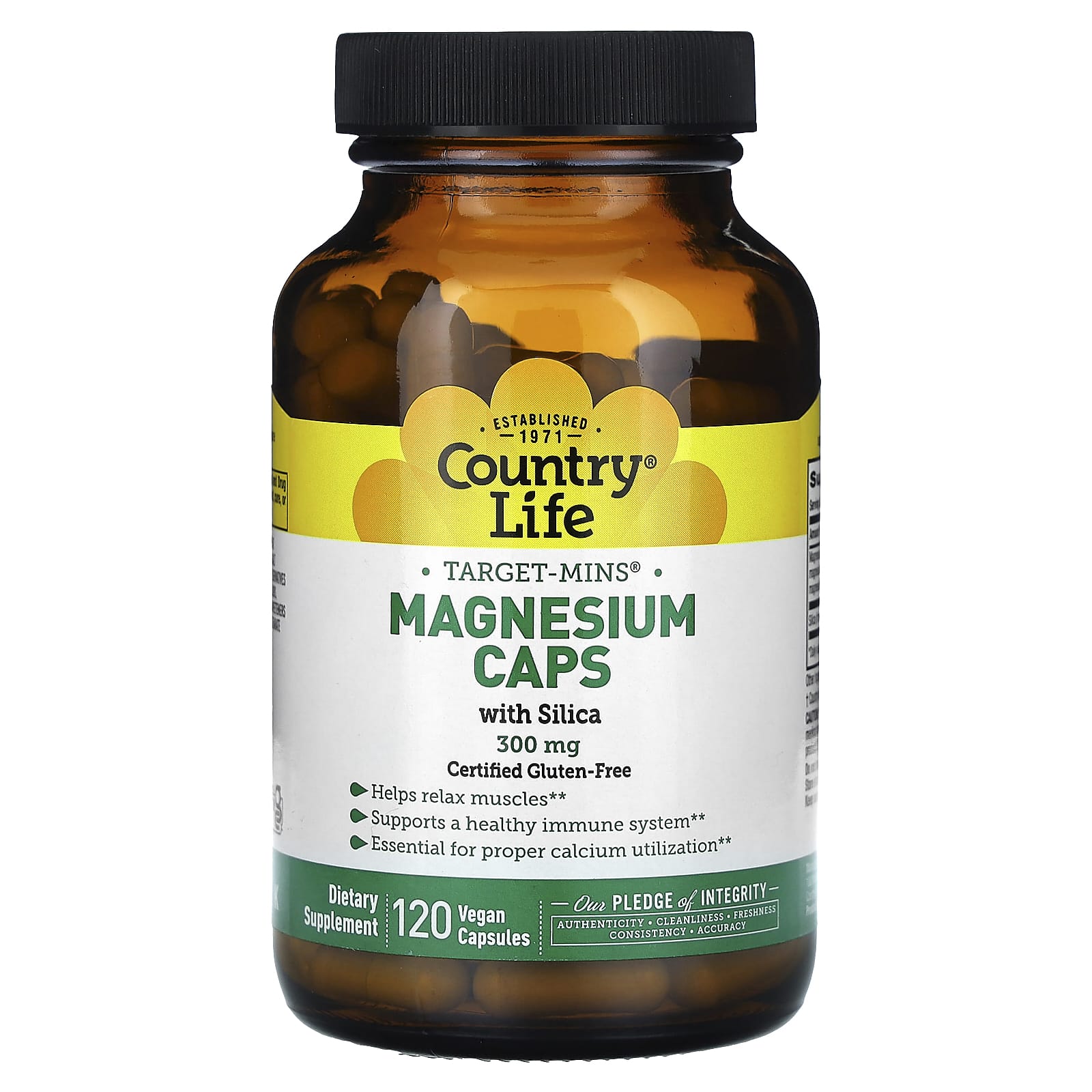Country Life Target-Mins Magnesium Caps with Silica, 300mg, 120 Vegan Capsules - Image 1