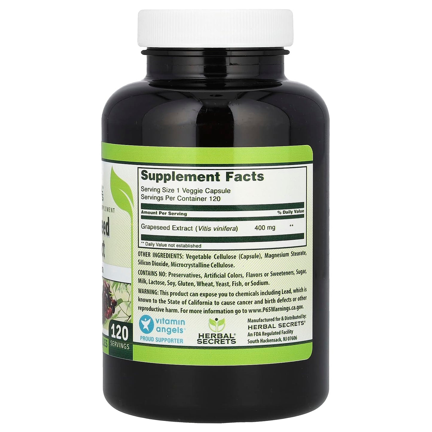 Grapeseed Extract Supplement for Immune Support - 120 Veggie Capsules - Image 2
