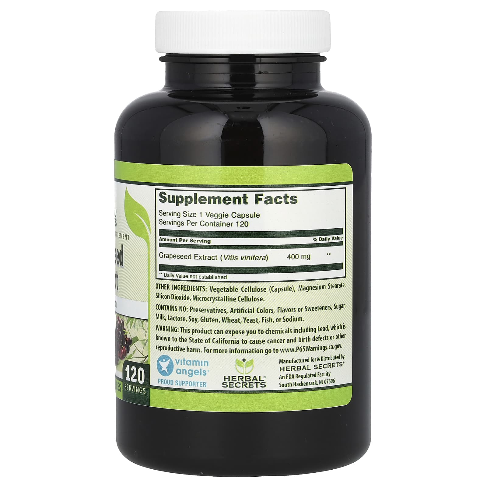 Grapeseed Extract Supplement for Immune Support - 120 Veggie Capsules - Image 2