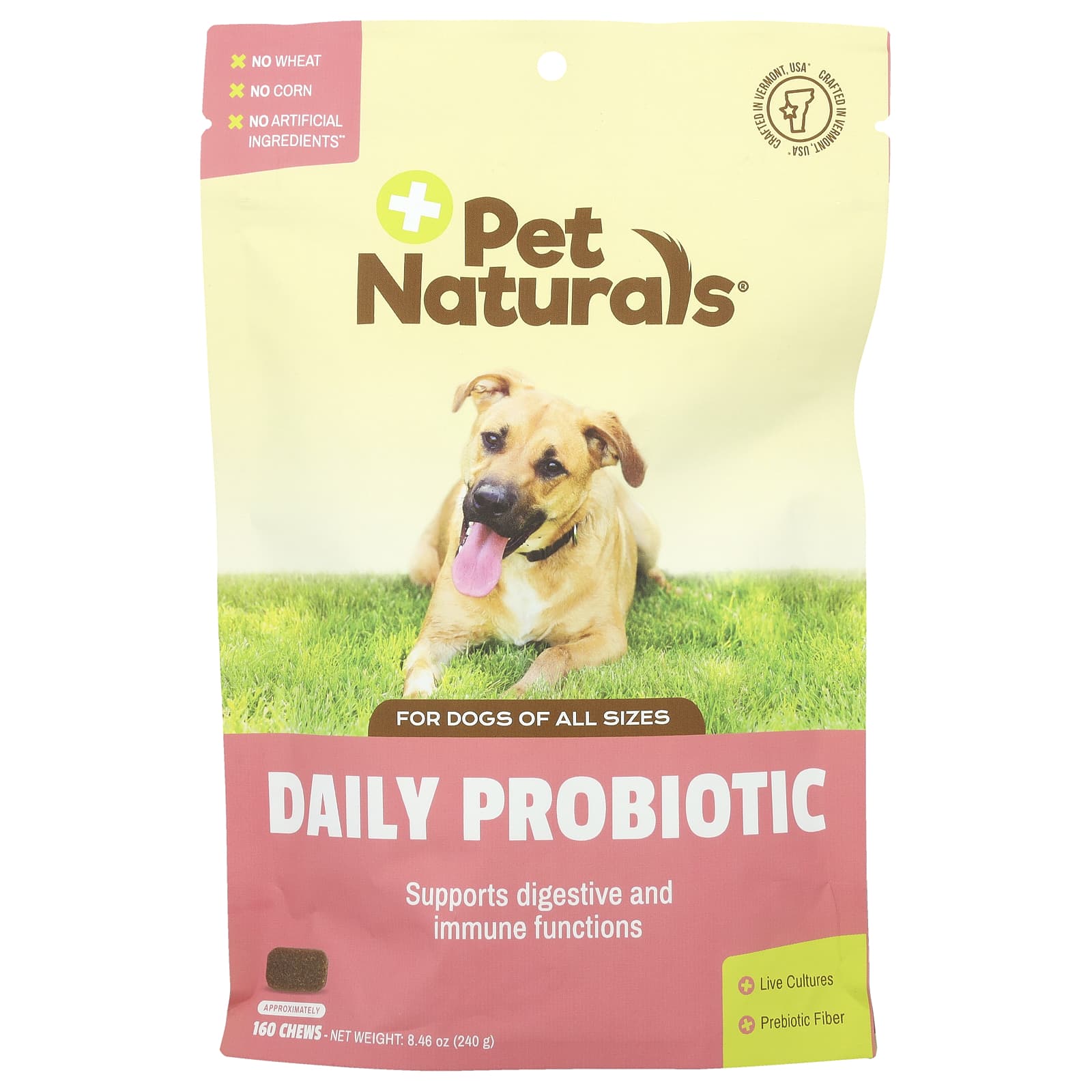 Pet Naturals, Daily Probiotic, For Dogs , 160 Chews, 8.46 oz (240 g) - Image 1