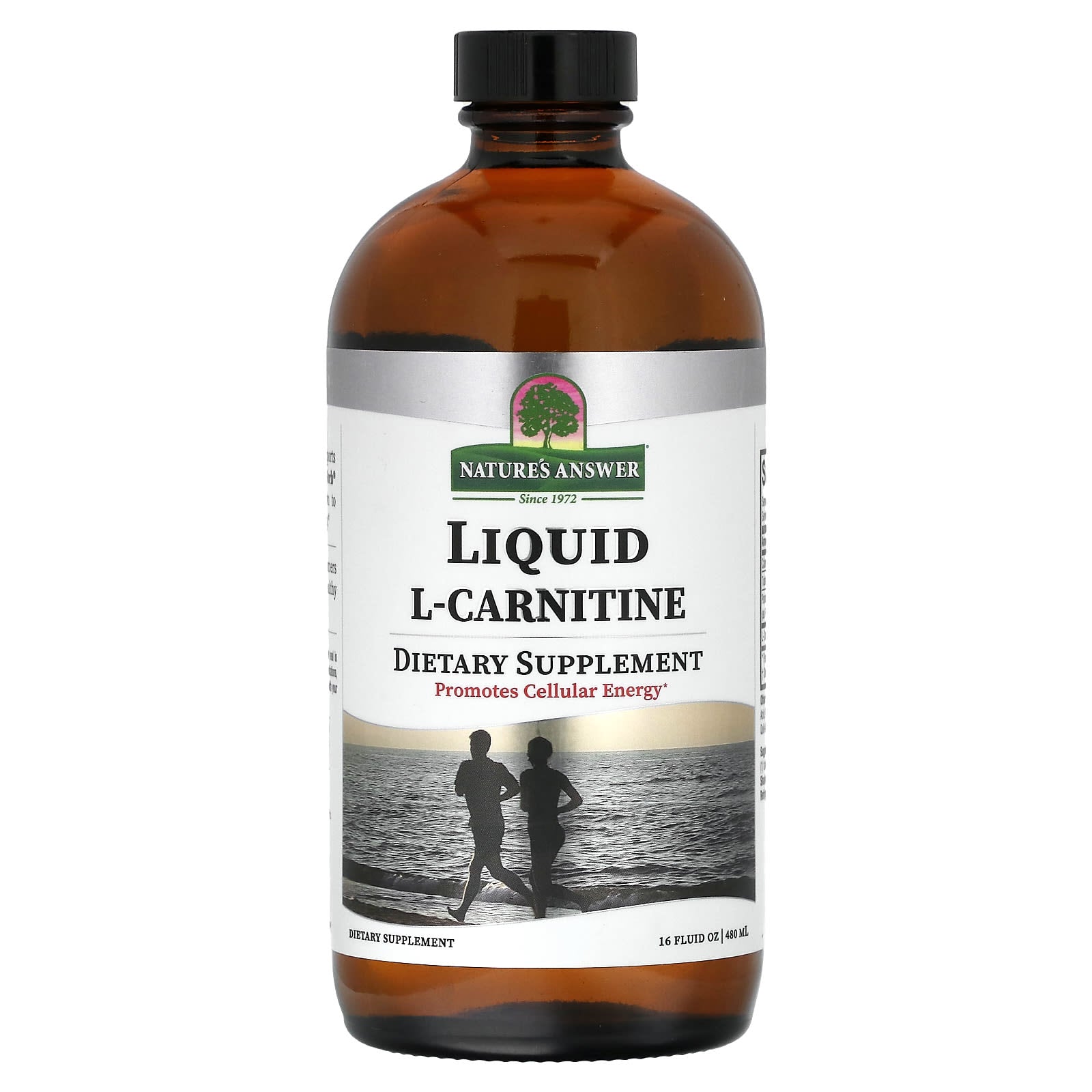 Nature's Answer, Liquid L-Carnitine, 16 fl oz (480 ml) - Image 1