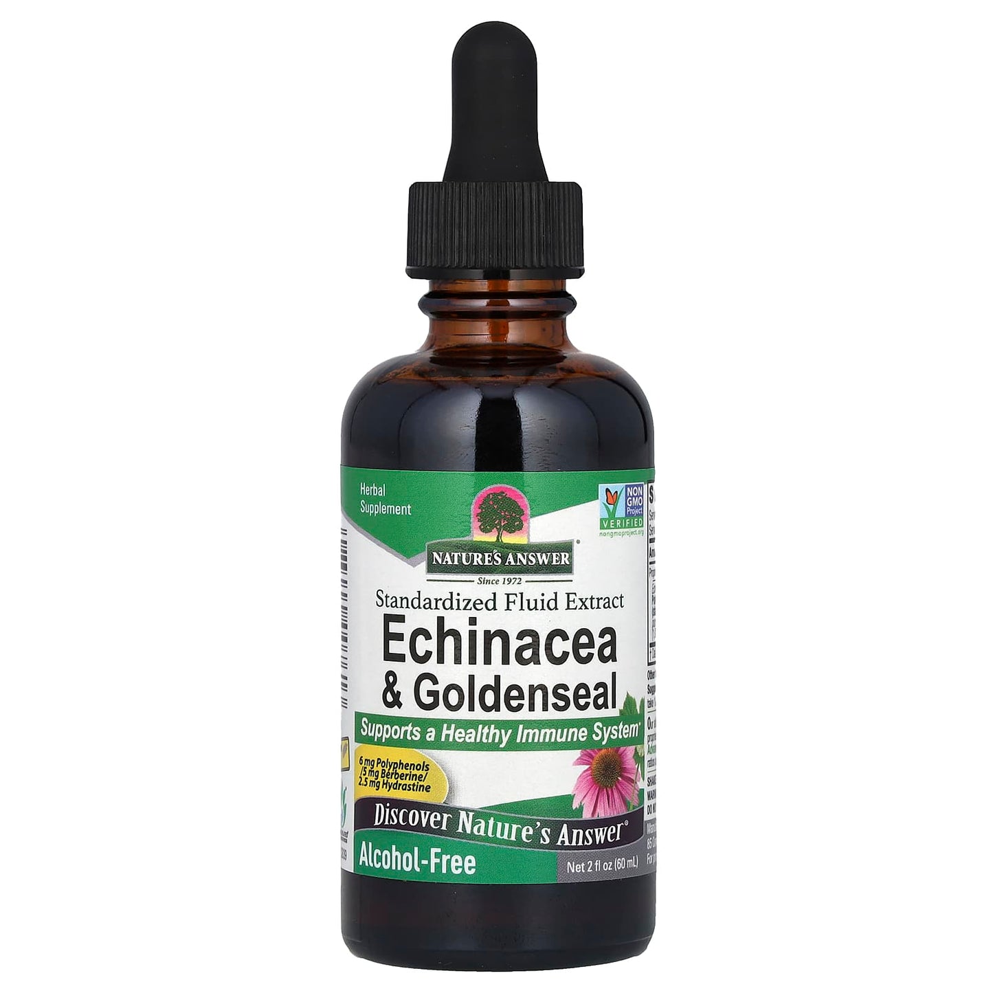 Nature's Answer, Echinacea & Goldenseal, Standardized Fluid Extract, Alcohol-Free, 2 fl oz (60 ml) - Image 1