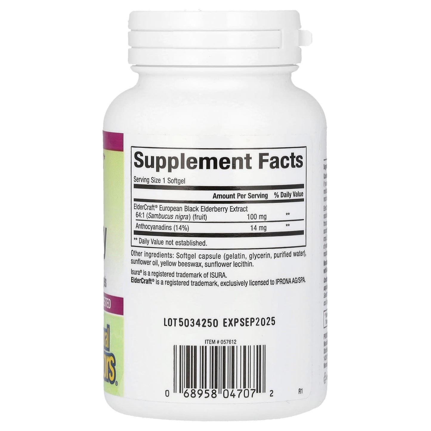 Natural Factors, Sambucus Black Elderberry, 100 mg, 120 Fast-Acting Softgels - Image 2