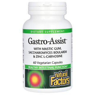 Natural Digestive Health with Mastic Gum & Probiotics - 60 Capsules