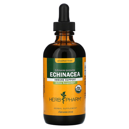 Echinacea Purpurea for Immune Support - USDA Organic, Alcohol-Free - Image 1