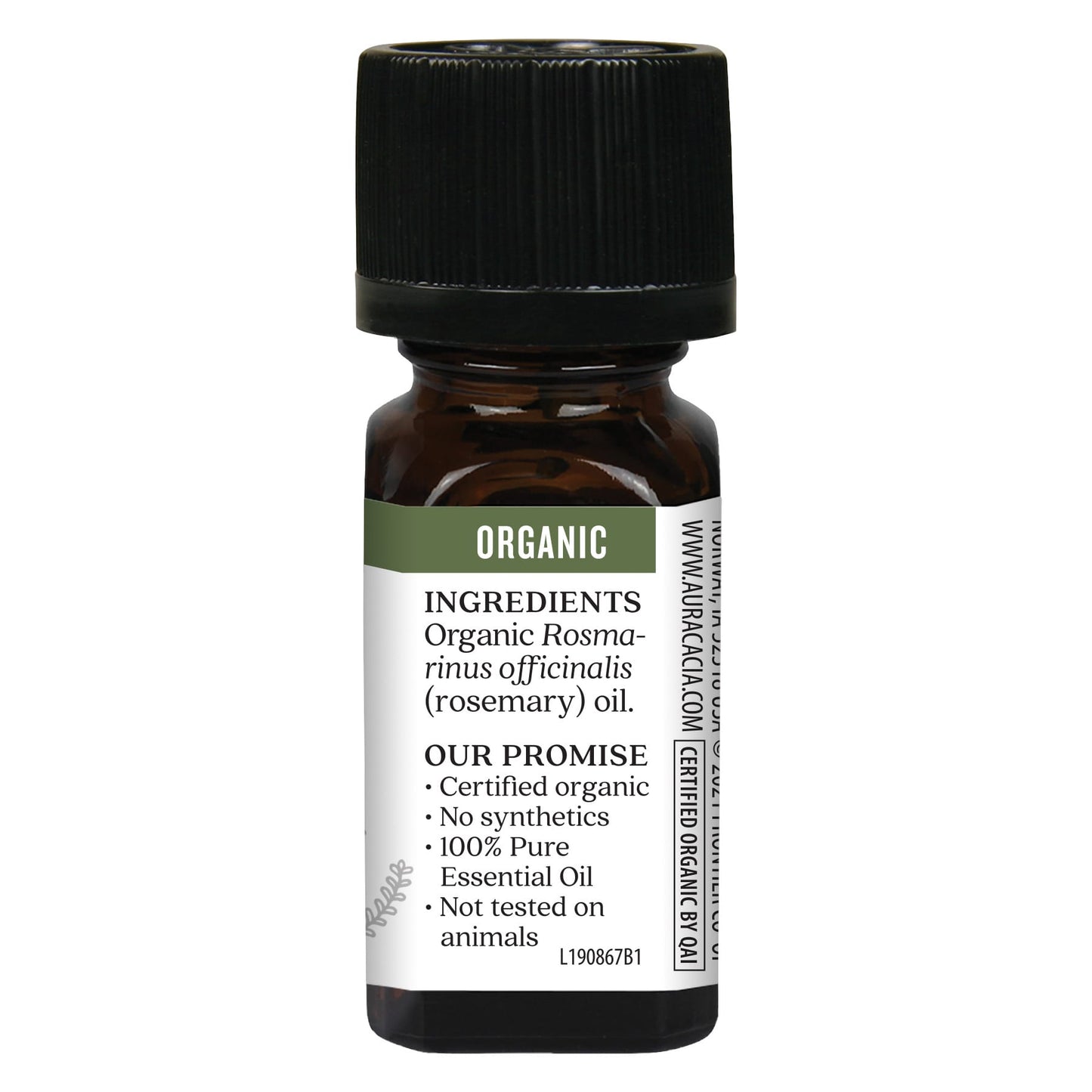 Aura Cacia Organic Rosemary Verbenone Essential Oil, 0.25 fl oz - Image 2