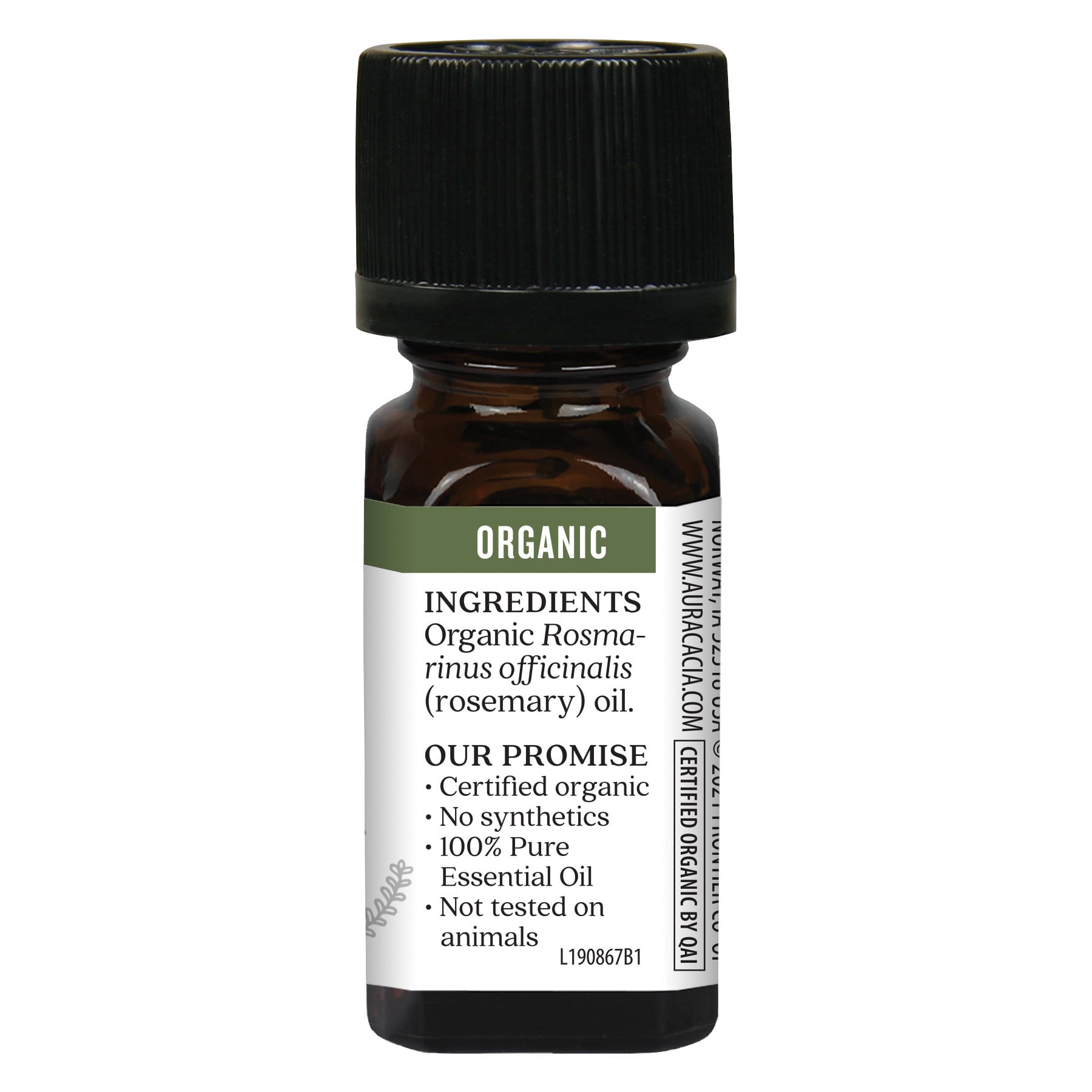 Aura Cacia Organic Rosemary Verbenone Essential Oil, 0.25 fl oz - Image 2