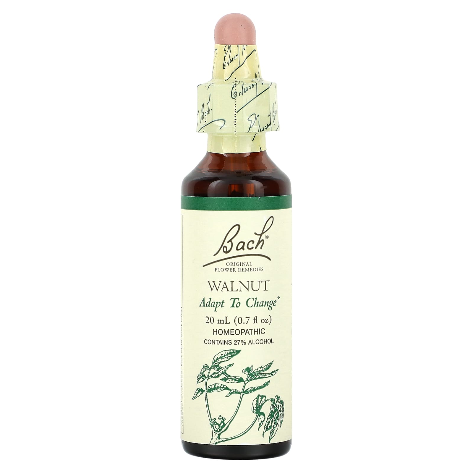 Adapt to Change with Bach Original Flower Remedies Walnut 20ml - Image 1
