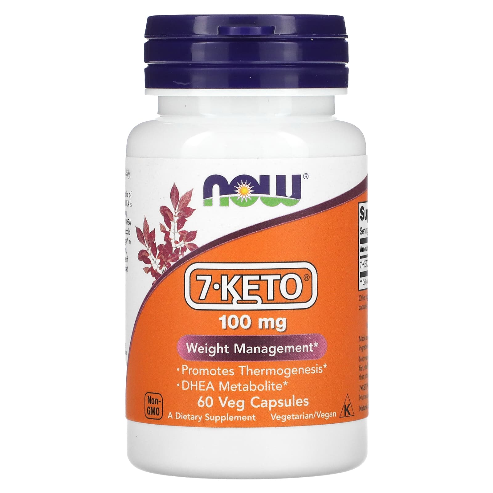 NOW Foods, 7-KETO, 100 mg, 60 Veg Capsules - Image 1