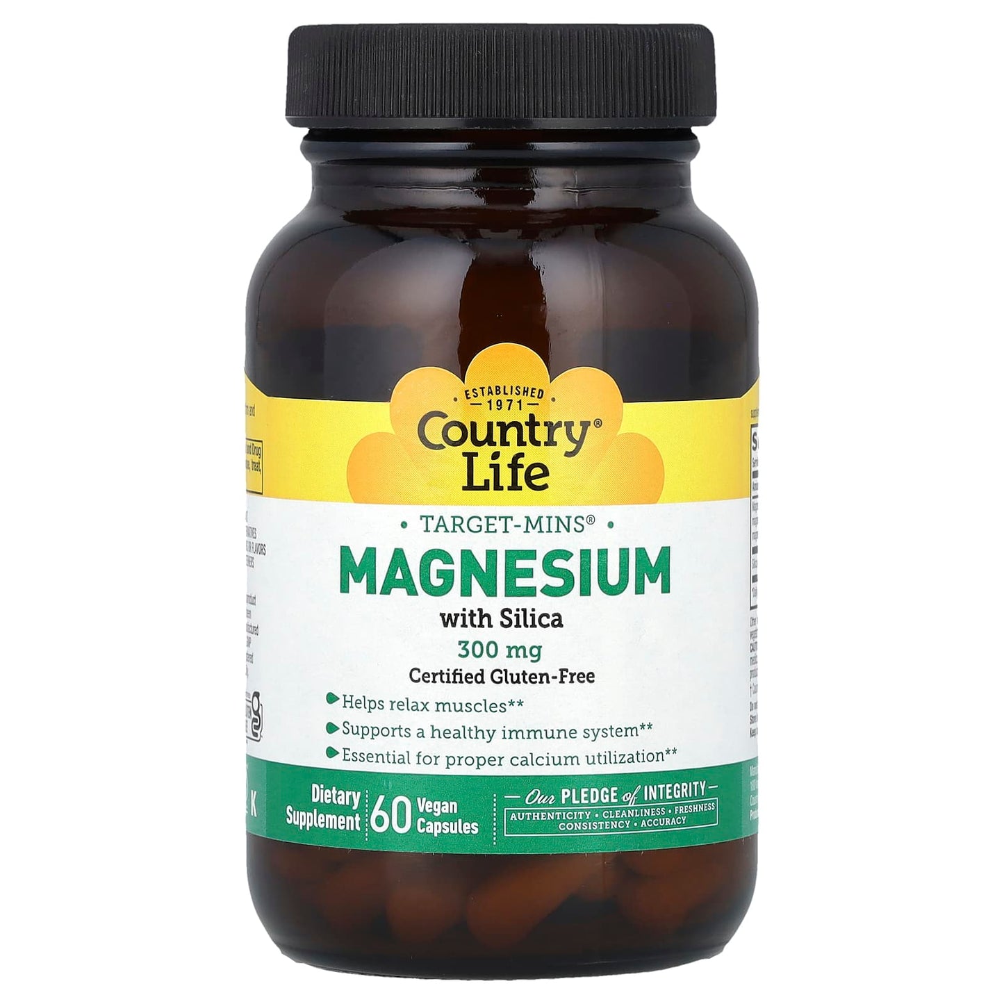Country Life Magnesium with Silica, 300mg, 60 Capsules - Vegan & Gluten-Free - Image 1