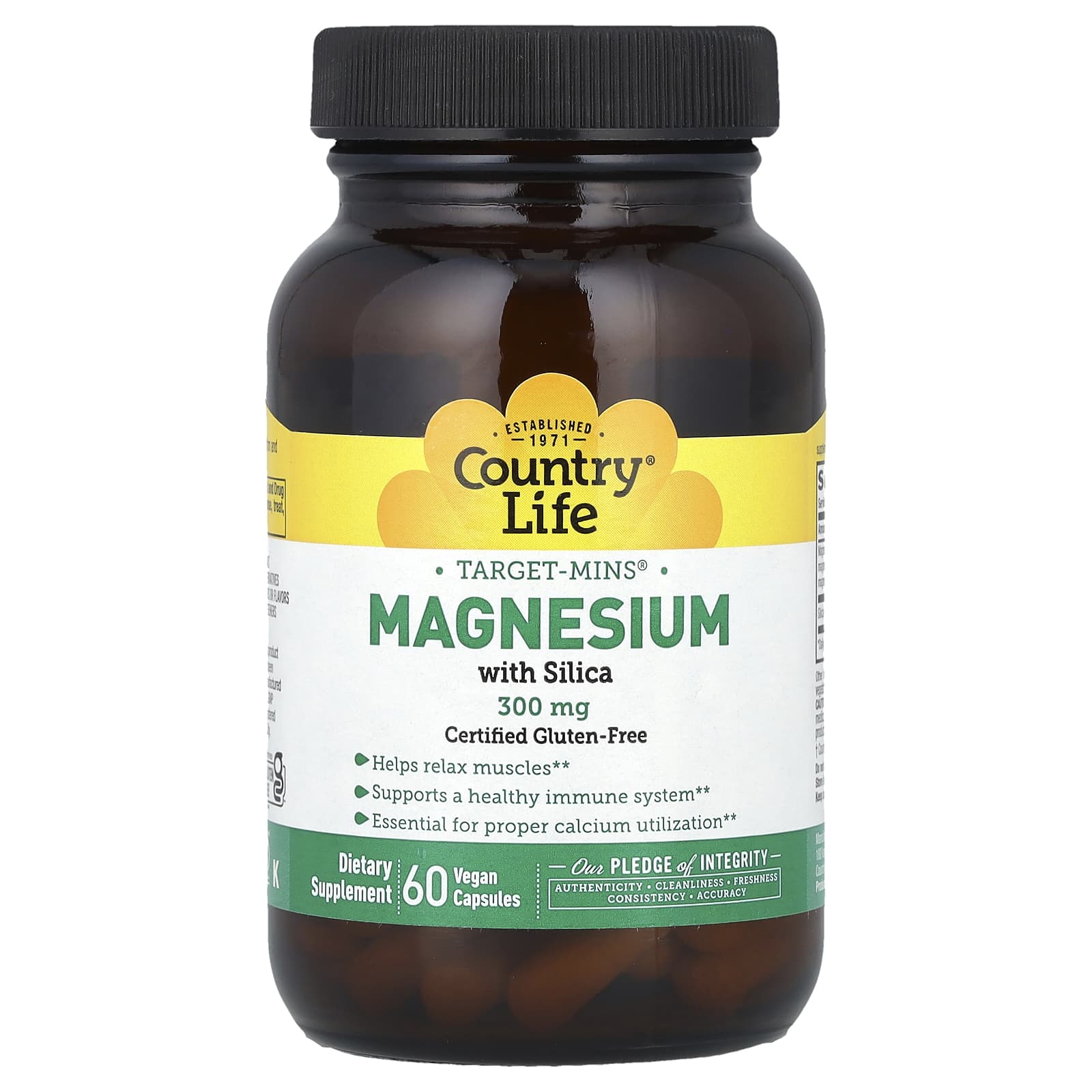 Country Life Magnesium with Silica, 300mg, 60 Capsules - Vegan & Gluten-Free - Image 1