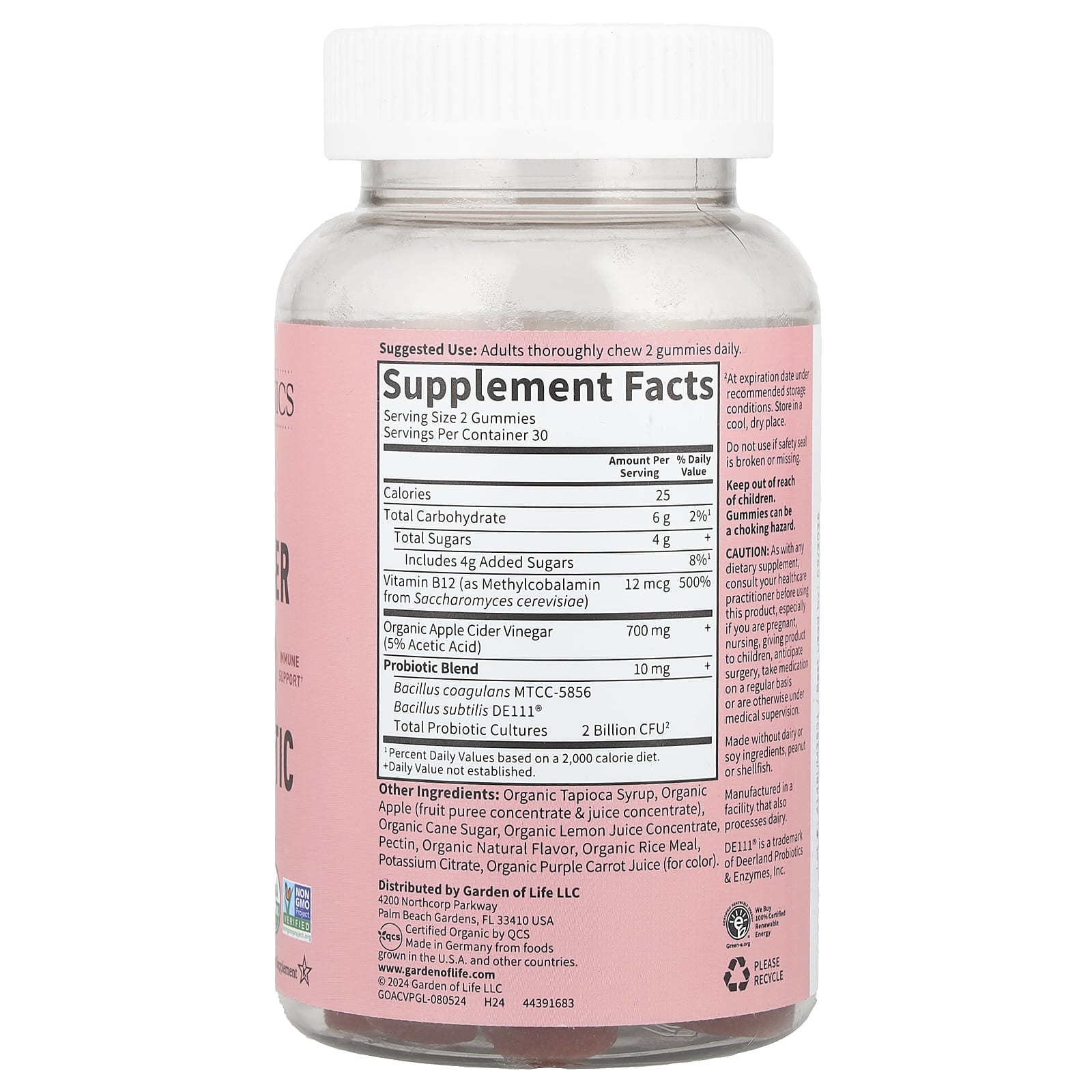 Organic Apple Cider Vinegar Probiotic Gummies for Digestive & Immune Health - Image 2