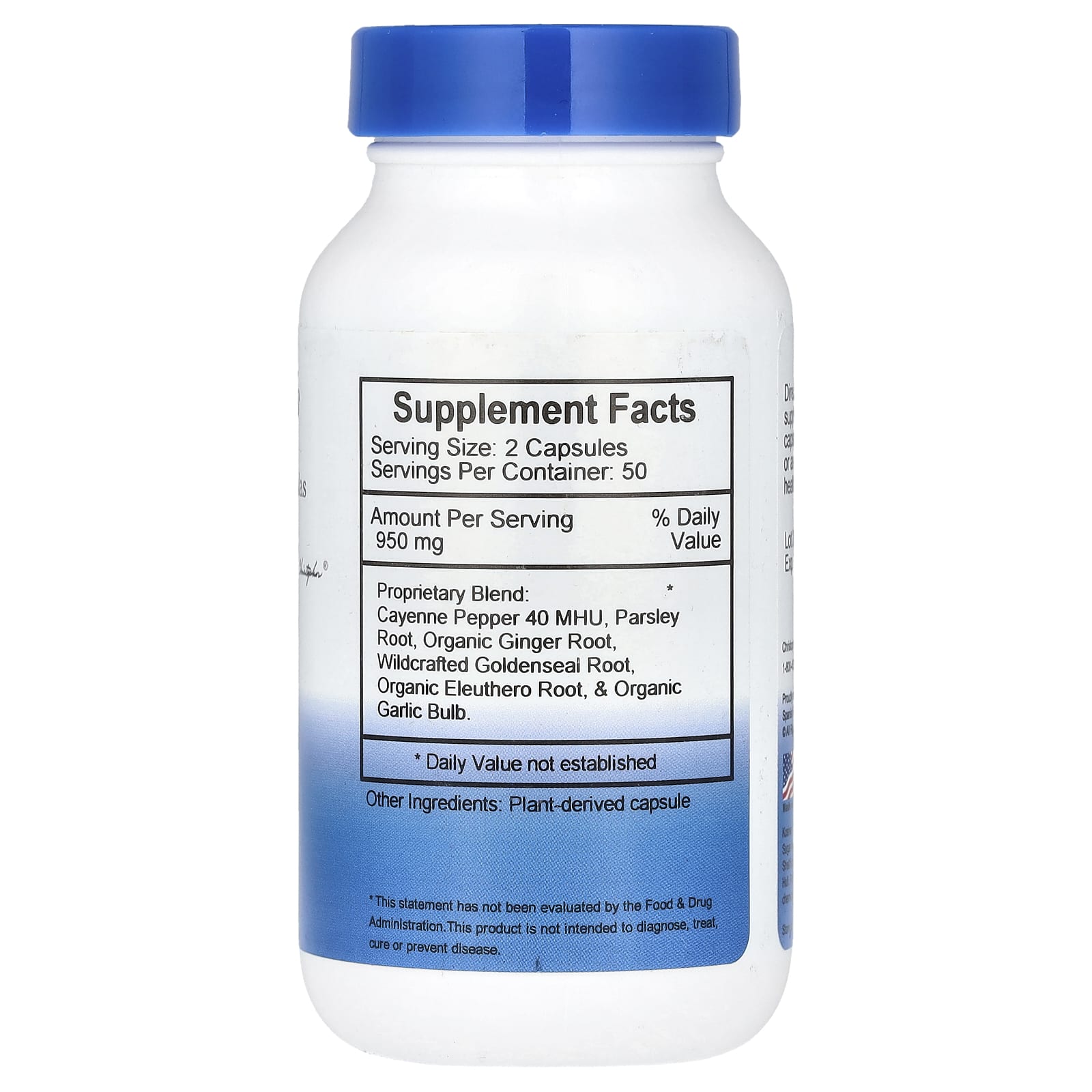 Christopher's Original Formulas, Blood Circ Formula, 950 mg, 100 Vegetarian Caps (475 mg per Capsule)