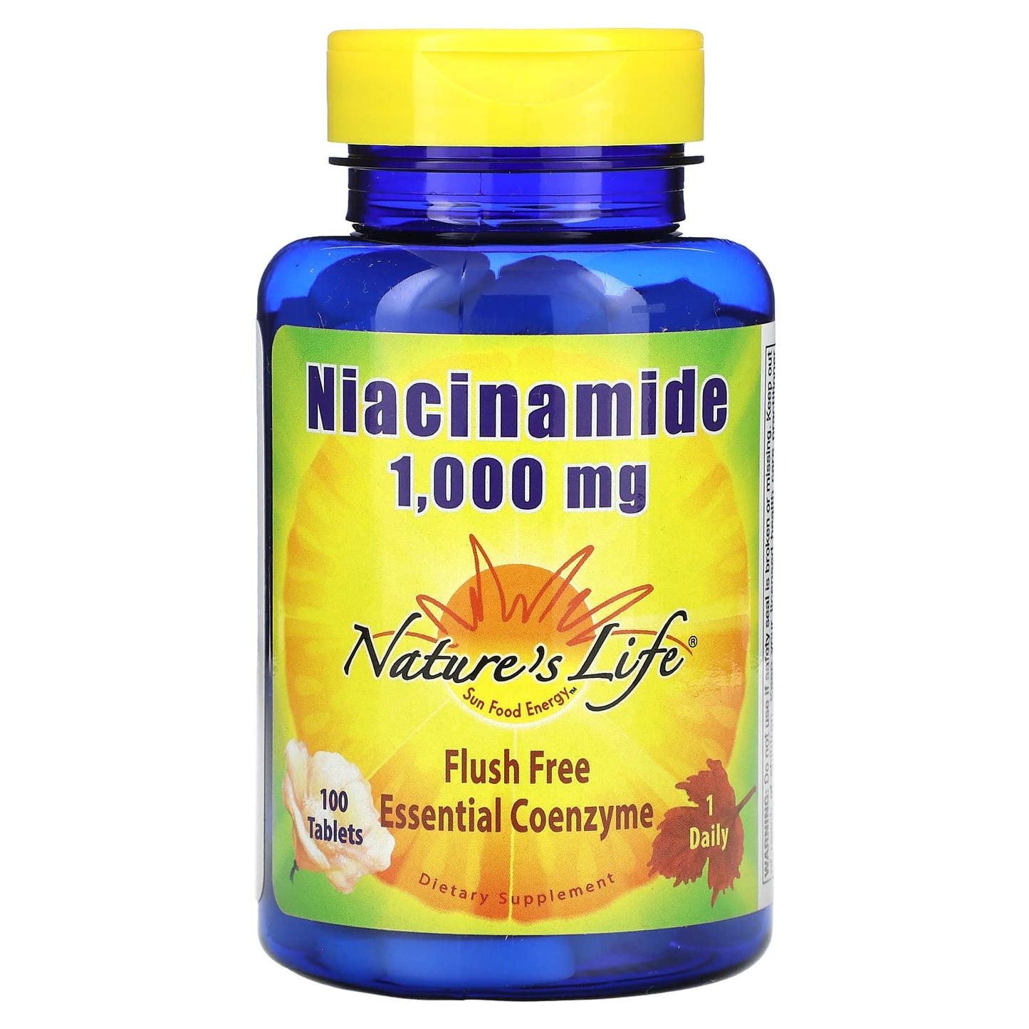 Nature's Life, Niacinamide, 1,000 mg, 100 Tablets - Image 1