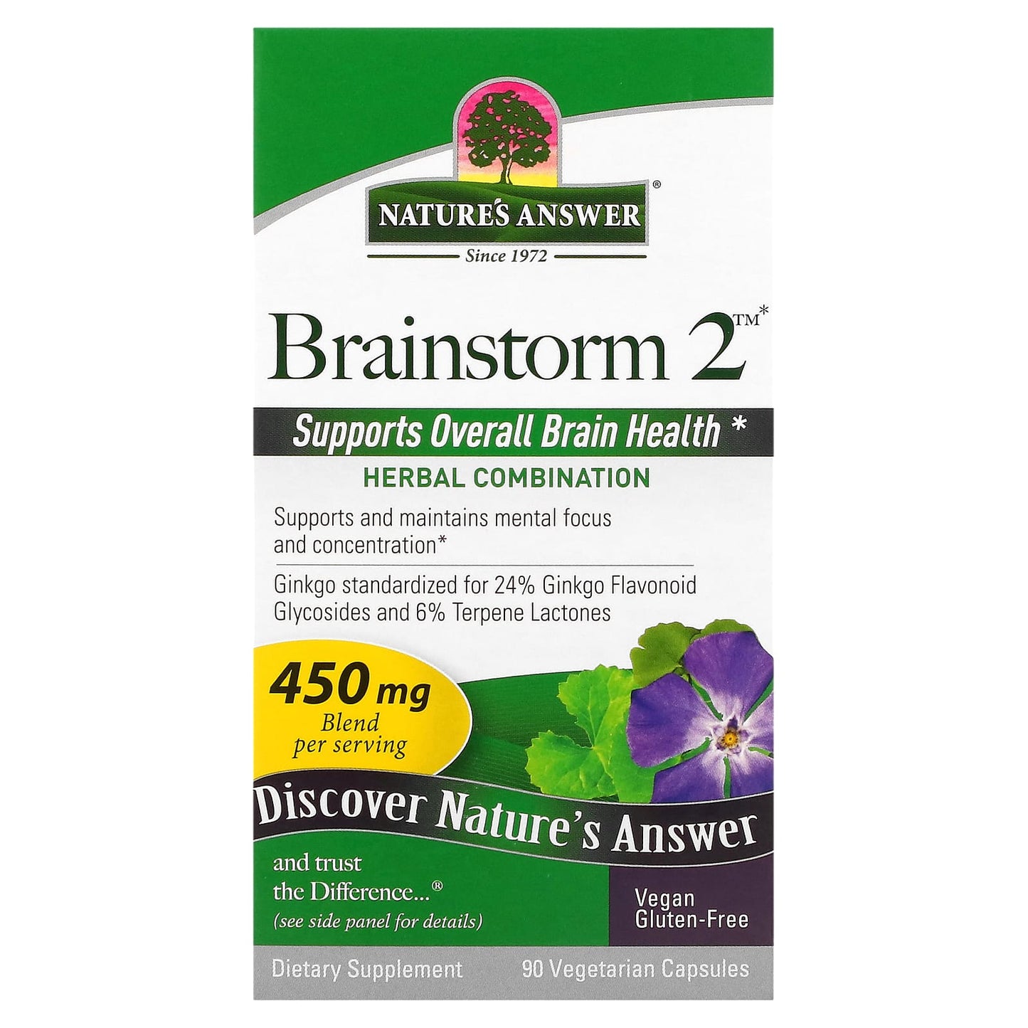 Nature's Answer, Brainstorm 2™, Herbal Combination, 90 Vegetarian Capsules - Image 1