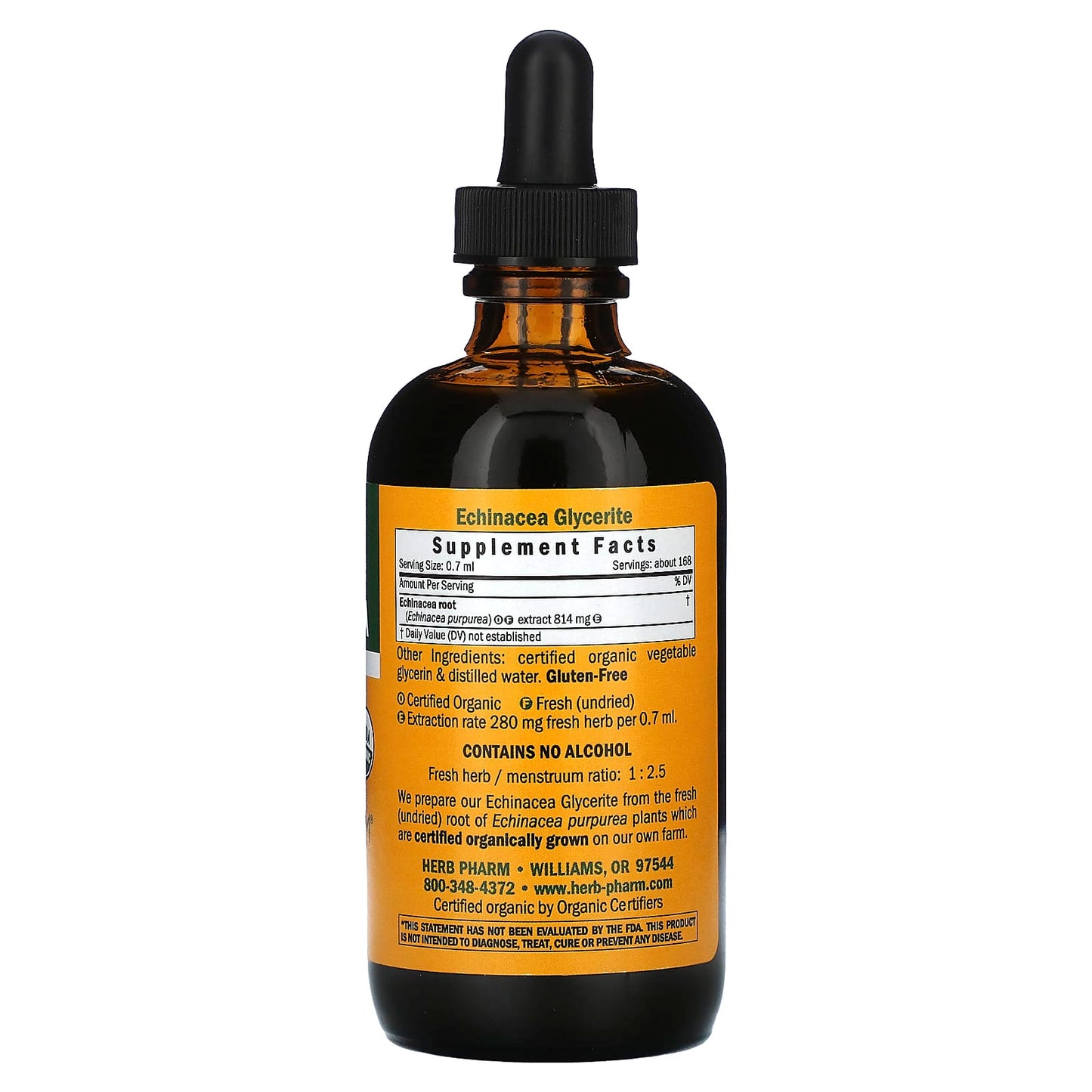 Echinacea Purpurea for Immune Support - USDA Organic, Alcohol-Free - Image 2