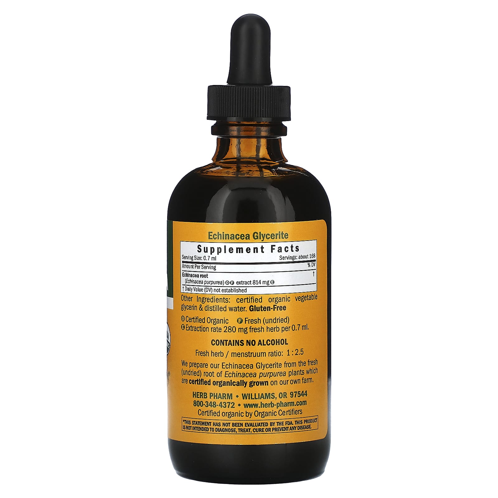 Echinacea Purpurea for Immune Support - USDA Organic, Alcohol-Free - Image 2