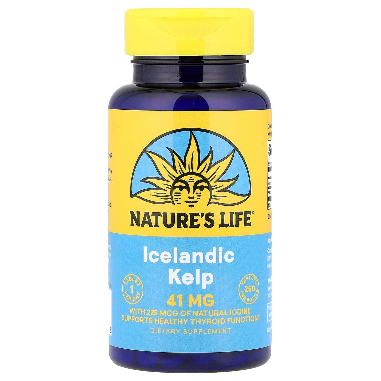 Nature's Life, Icelandic Kelp, 41 mg, 250 Tablets - Image 1