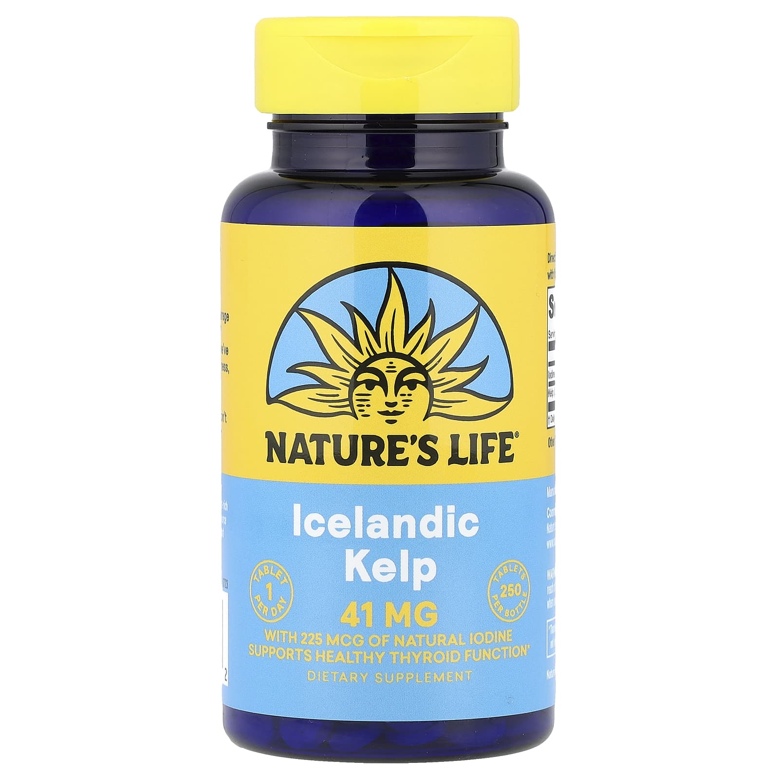 Nature's Life, Icelandic Kelp, 41 mg, 250 Tablets - Image 1