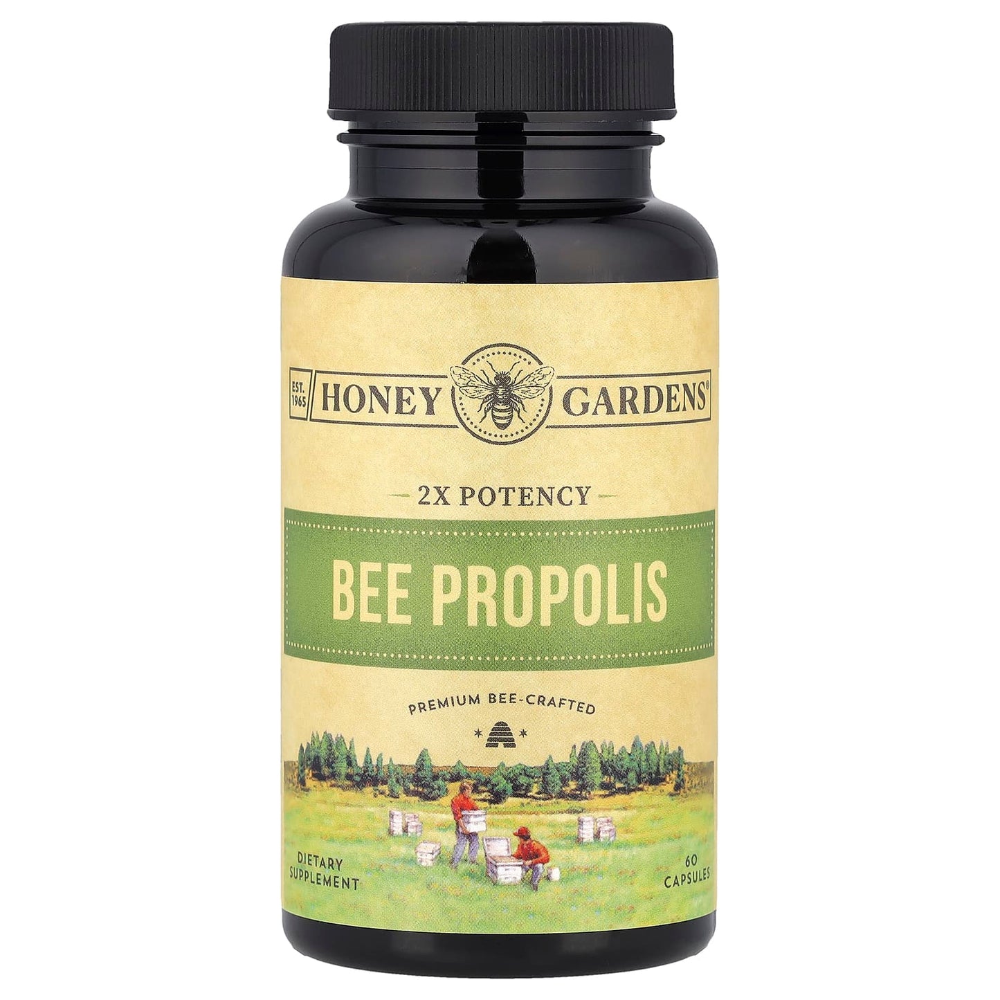 Zand, Bee Propolis, 2x Potency, 60 Capsules (400 mg per Capsule) - Image 1