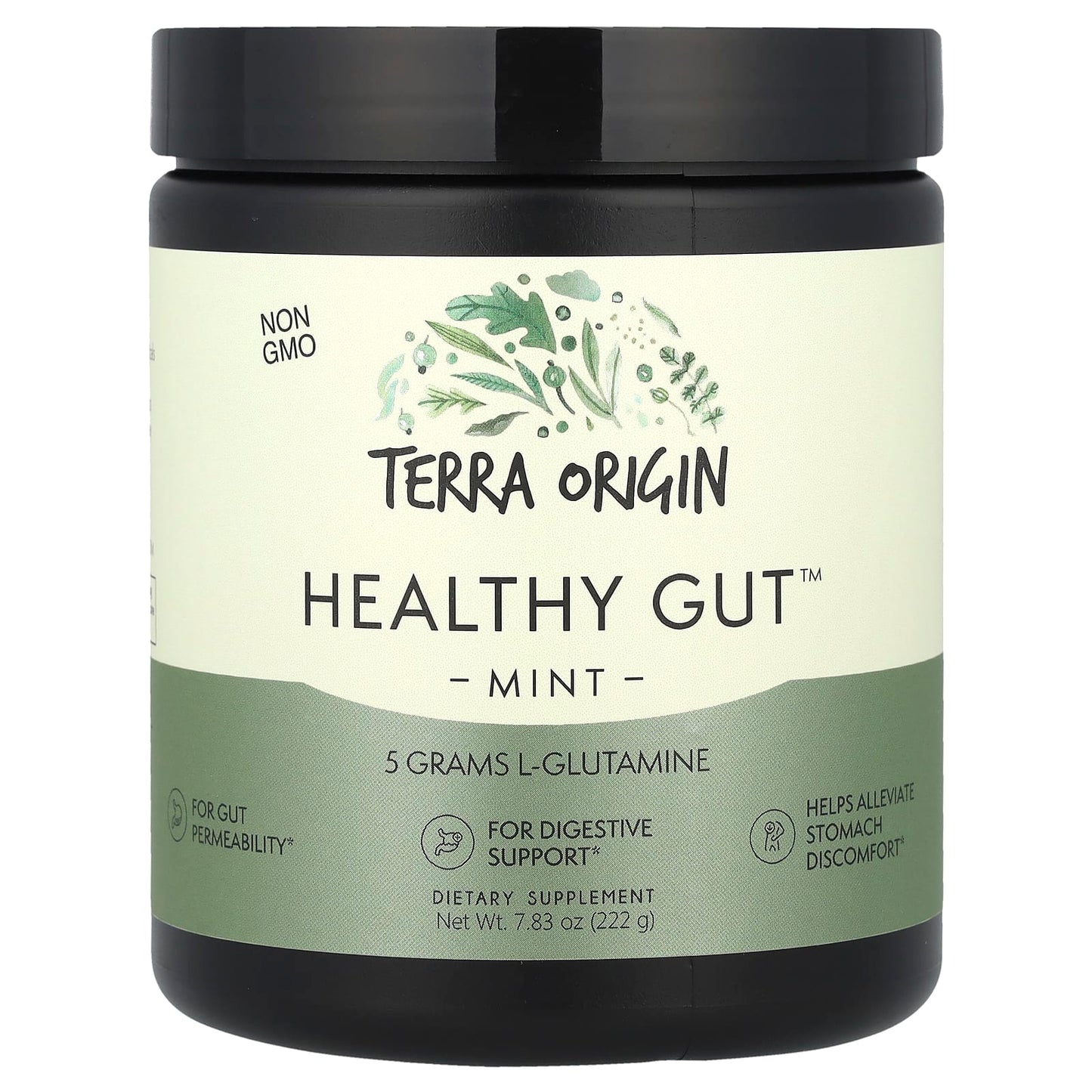 Terra Origin, Healthy Gut™, Mint, 7.83 oz (222 g) - Image 1