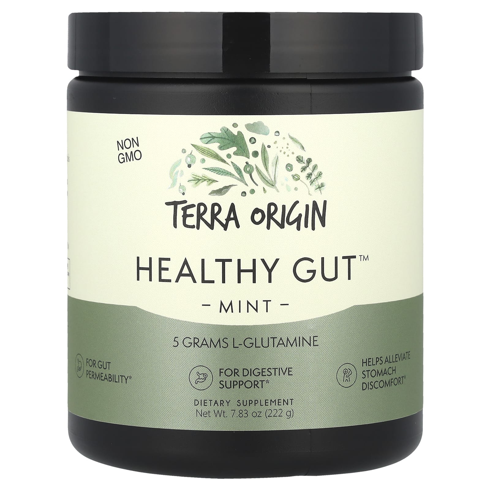 Terra Origin, Healthy Gut™, Mint, 7.83 oz (222 g) - Image 1