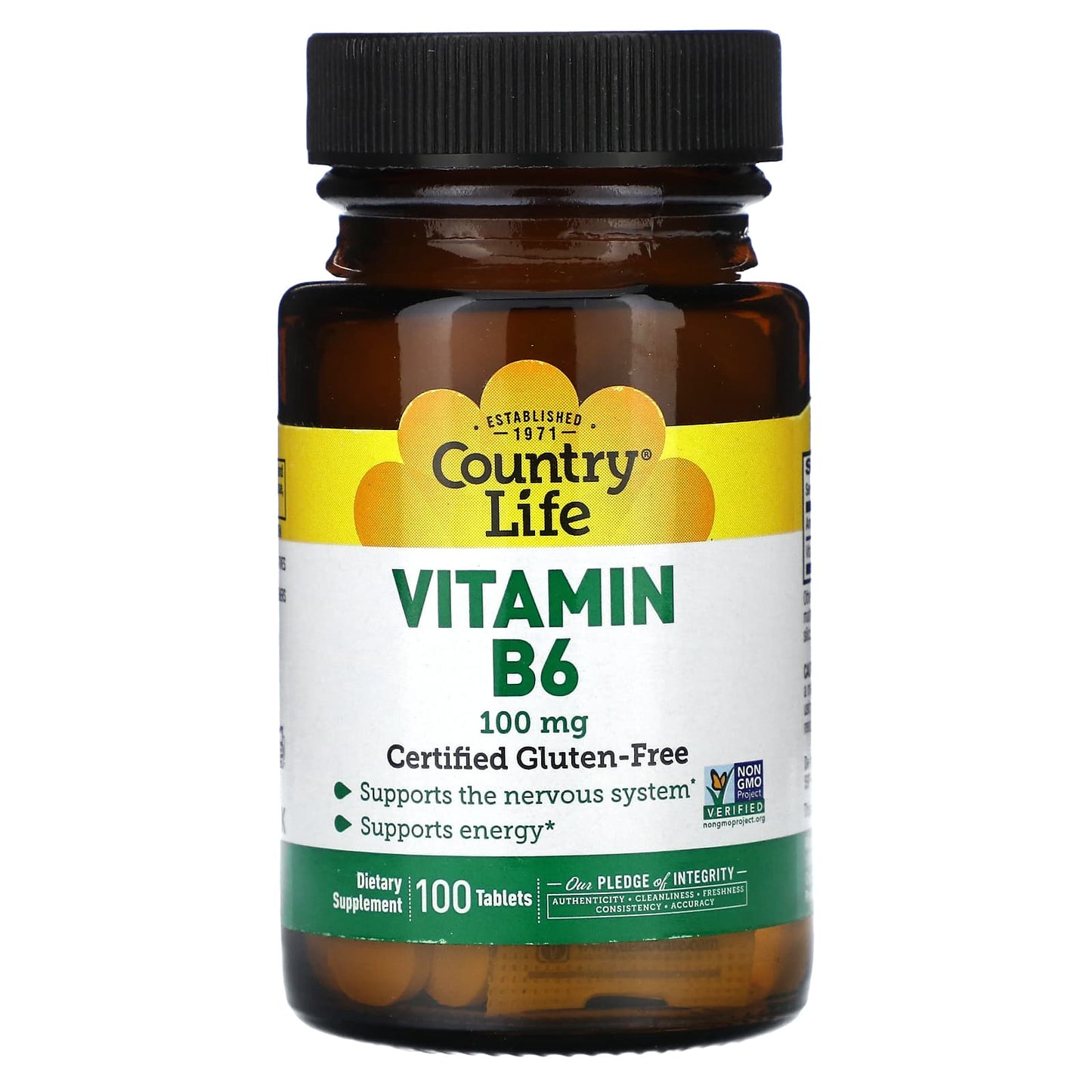 Vitamin B6 Supplement by Country Life, 100mg, 100 Tablets - Image 1