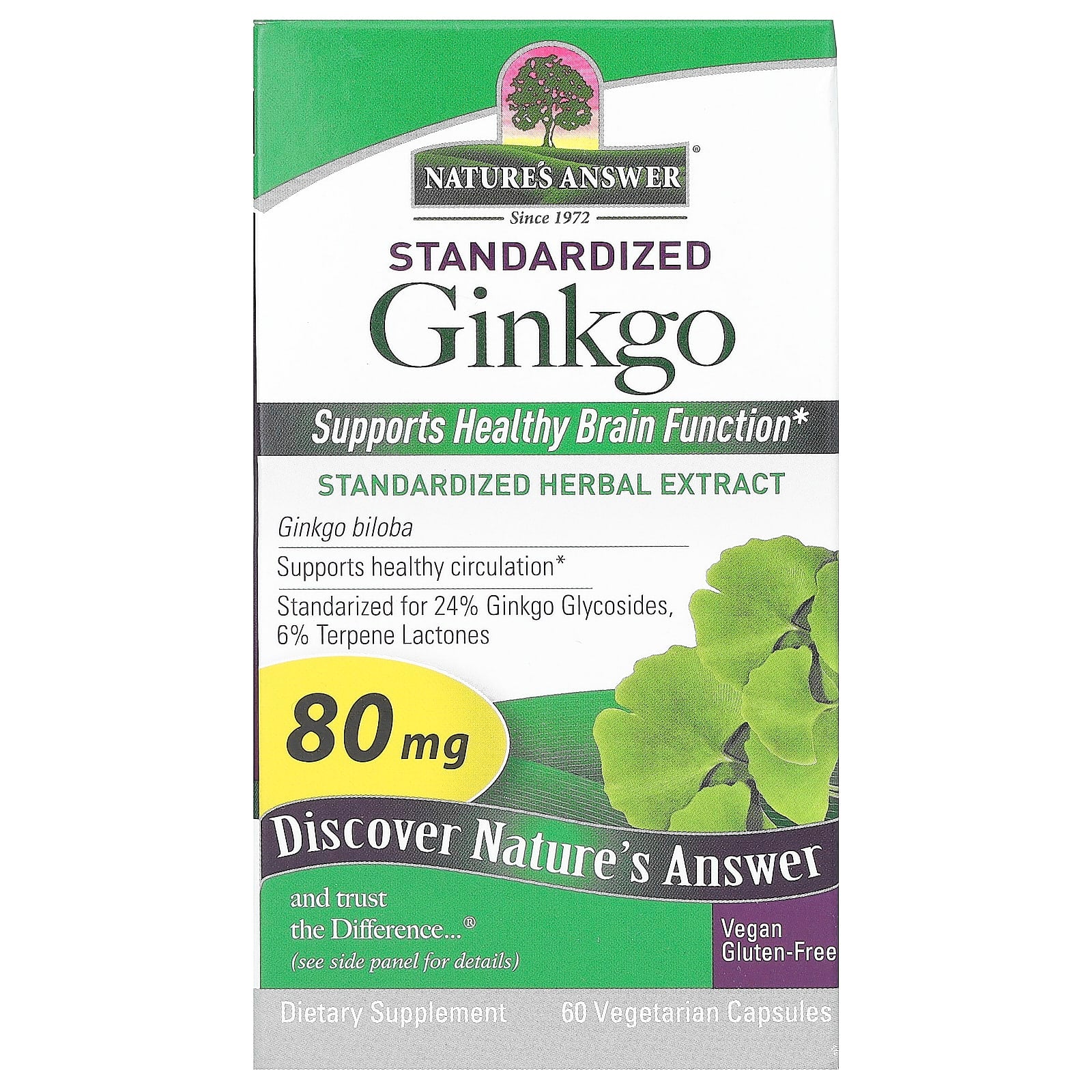Nature's Answer, Standardized Ginkgo, 80 mg , 60 Vegetarian Capsules - Image 1