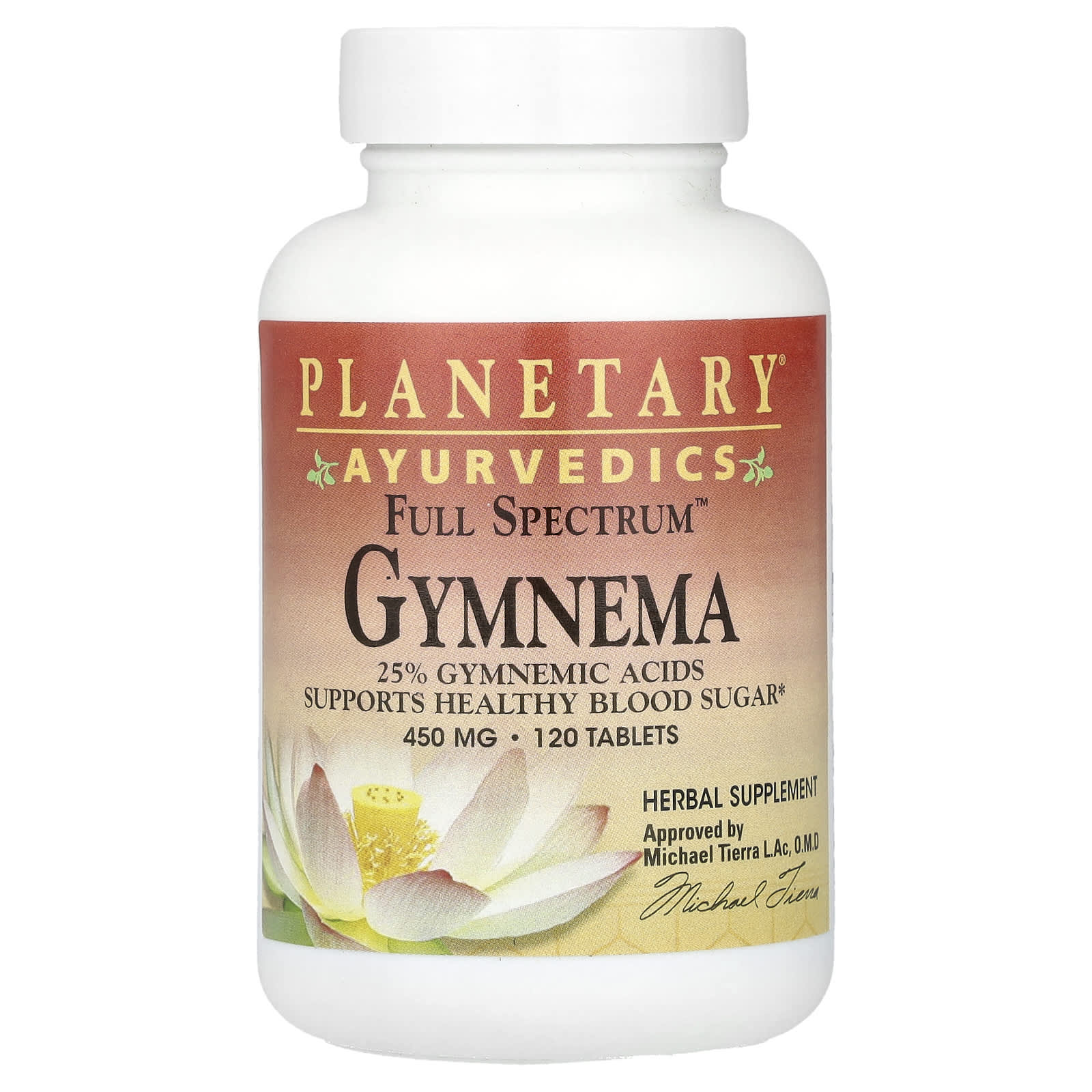 Planetary Herbals, Ayurvedics, Full Spectrum™ Gymnema, 120 Tablets - Image 1