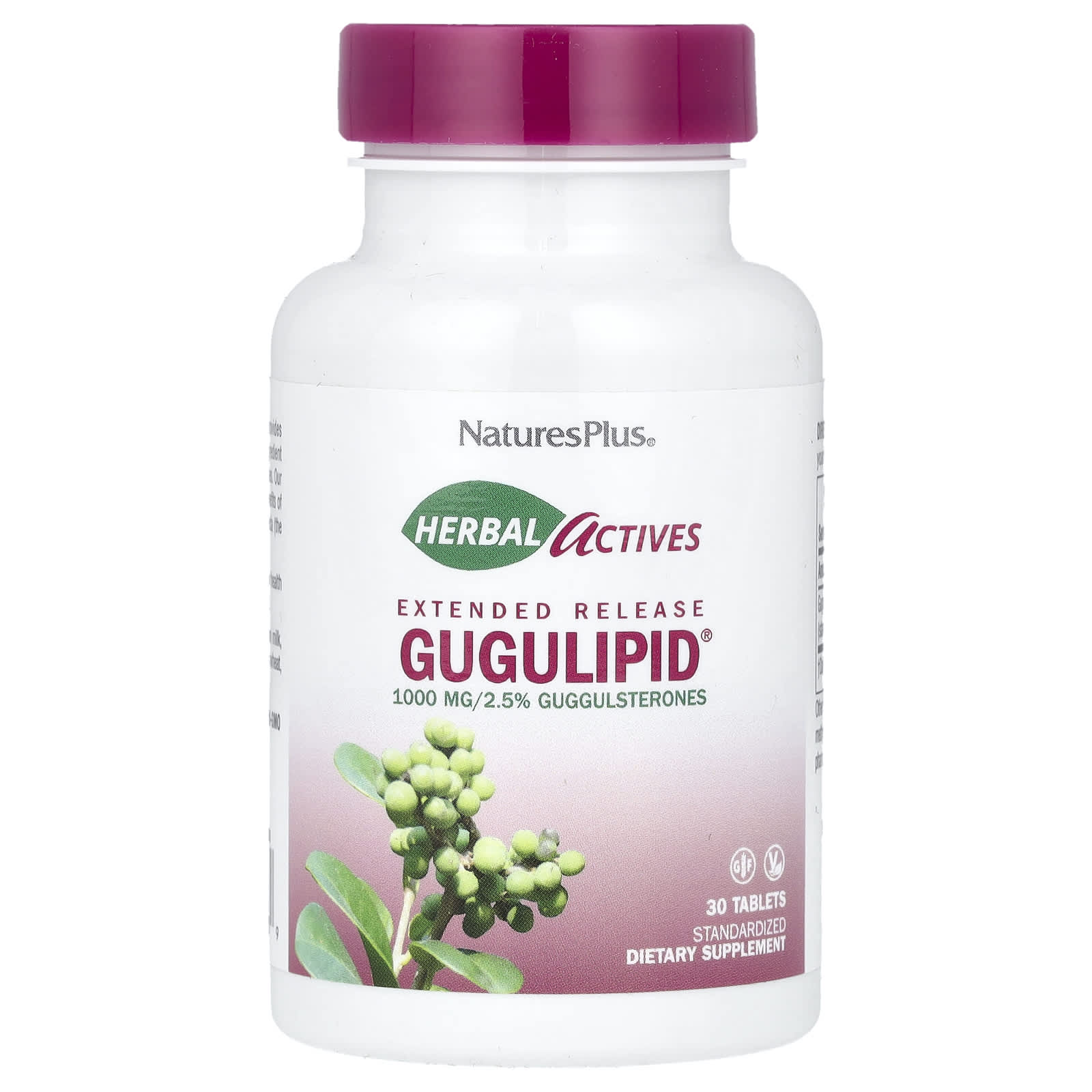 NaturesPlus, Herbal Actives, Gugulipid®, Extended Release, 1,000 mg, 30 Tablets - Image 1