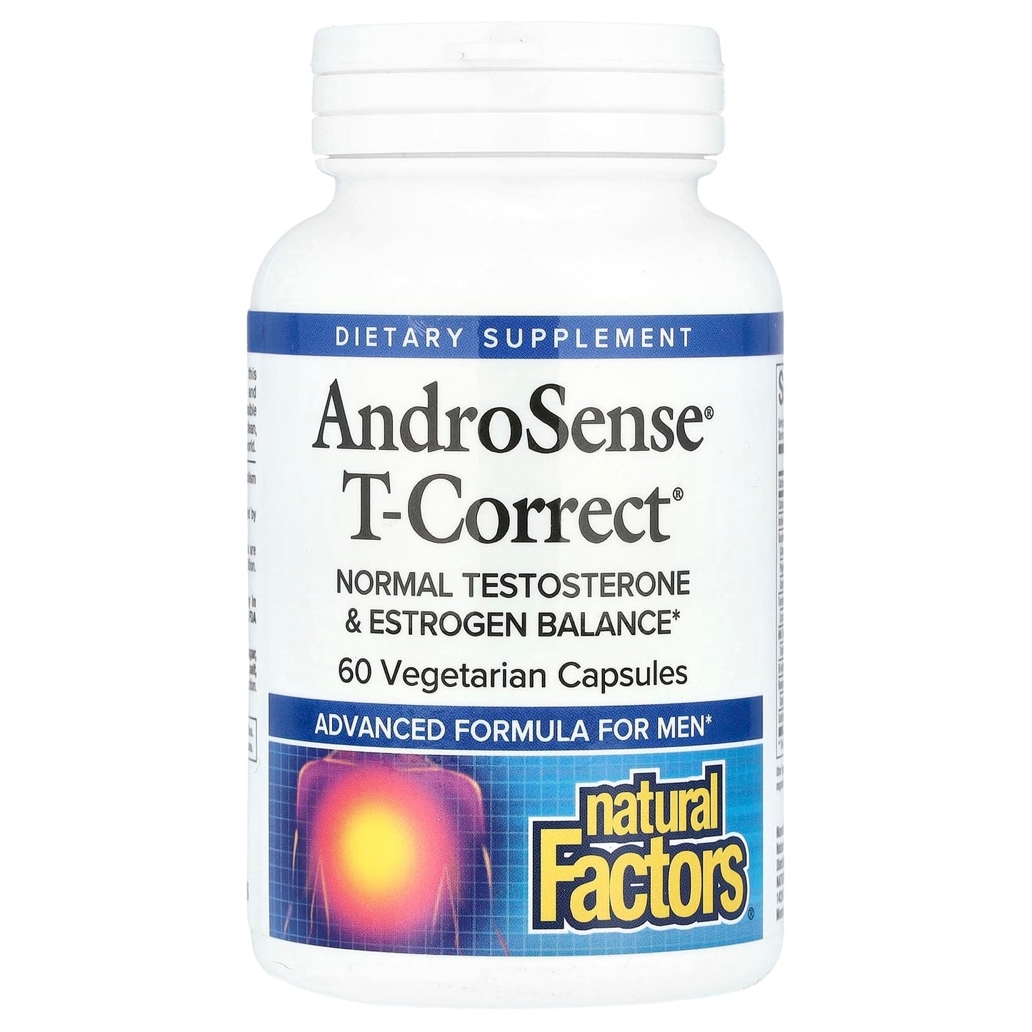 Natural Factors, AndroSense® T-Correct, 60 Vegetarian Capsules - Image 1