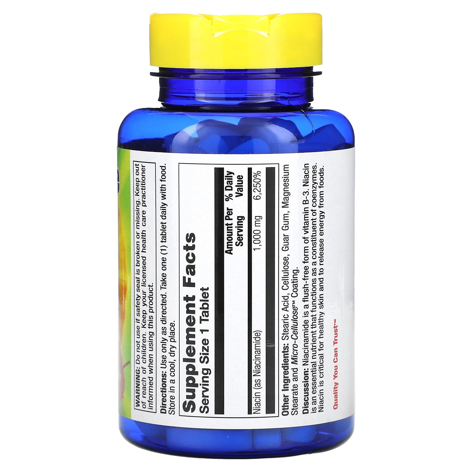 Nature's Life, Niacinamide, 1,000 mg, 100 Tablets - Image 2