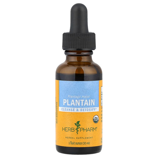 Organic Plantain Liquid Extract by Herb Pharm 1 fl oz - Image 1