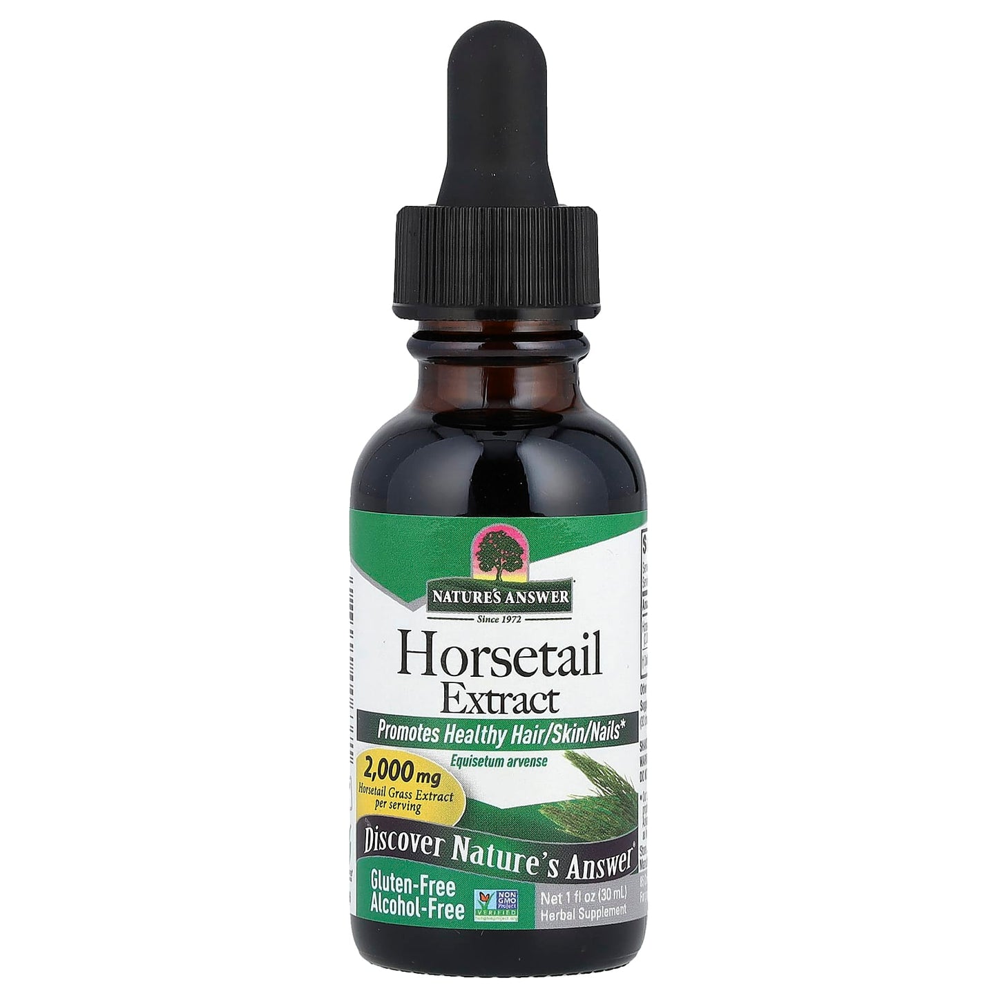 Nature's Answer, Horsetail Extract, Alcohol-Free, 2,000 mg, 1 fl oz (30 ml) - Image 1