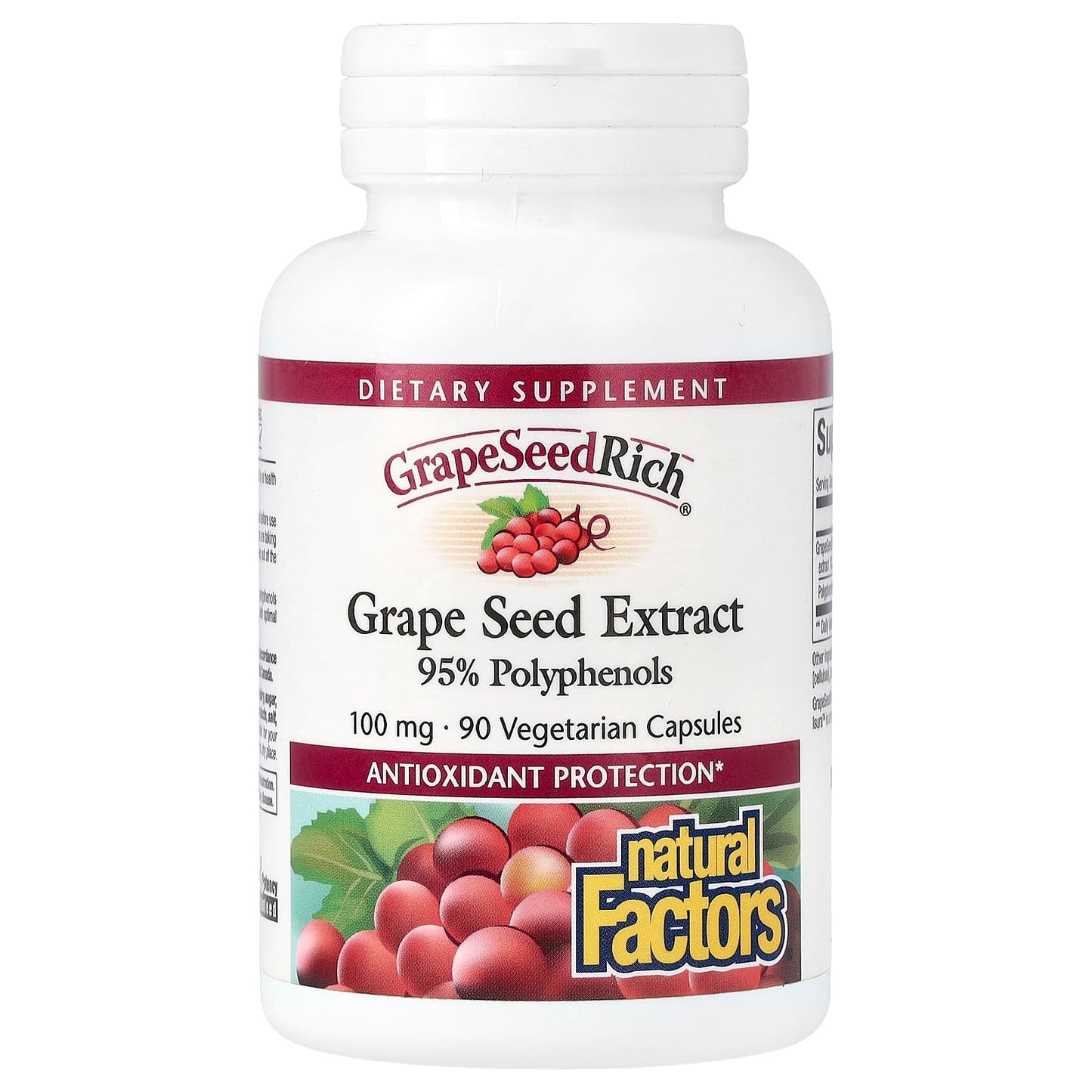 Natural Factors, GrapeSeedRich, Grape Seed Extract, 100 mg, 90 Vegetarian Capsules - Image 1