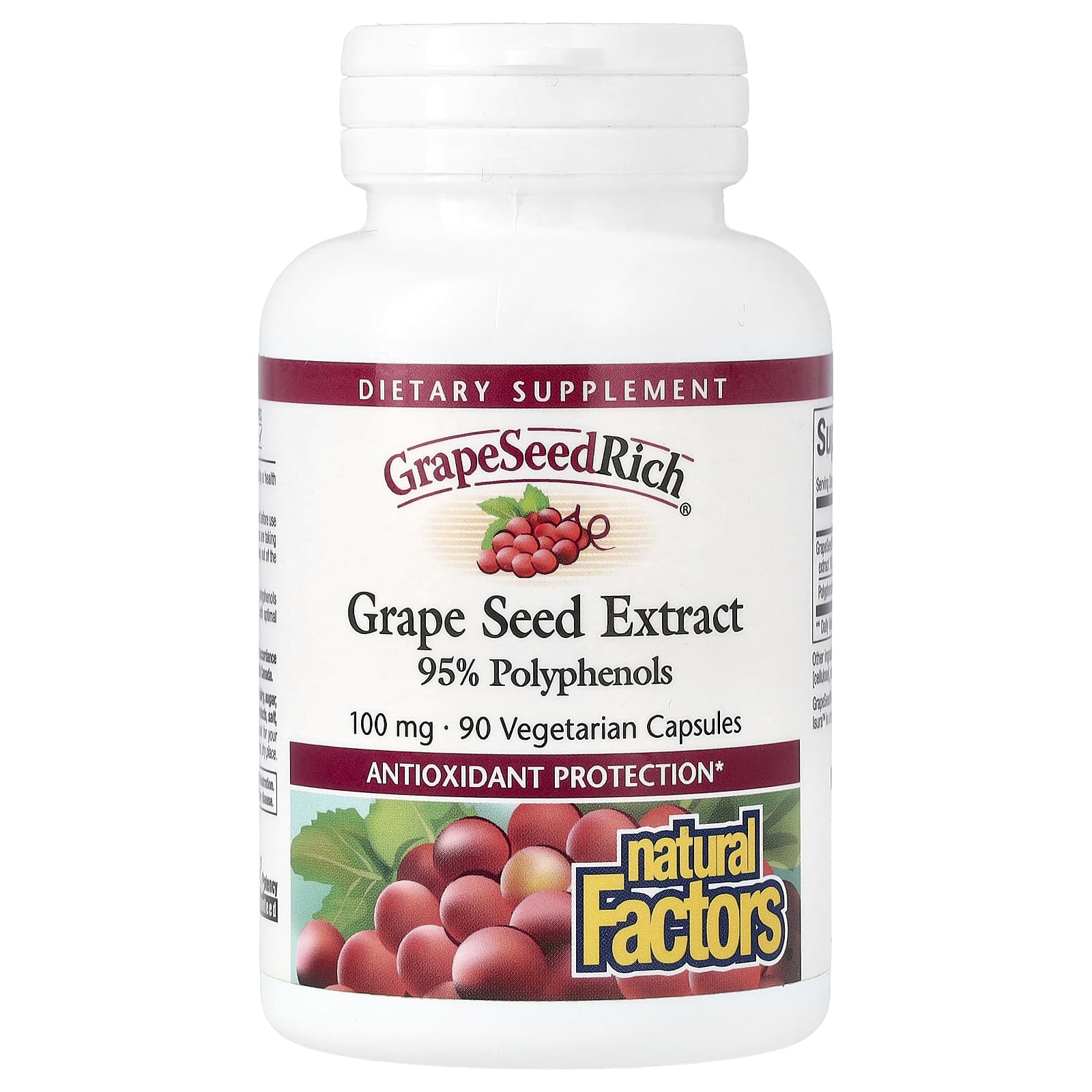 Natural Factors, GrapeSeedRich, Grape Seed Extract, 100 mg, 90 Vegetarian Capsules - Image 1