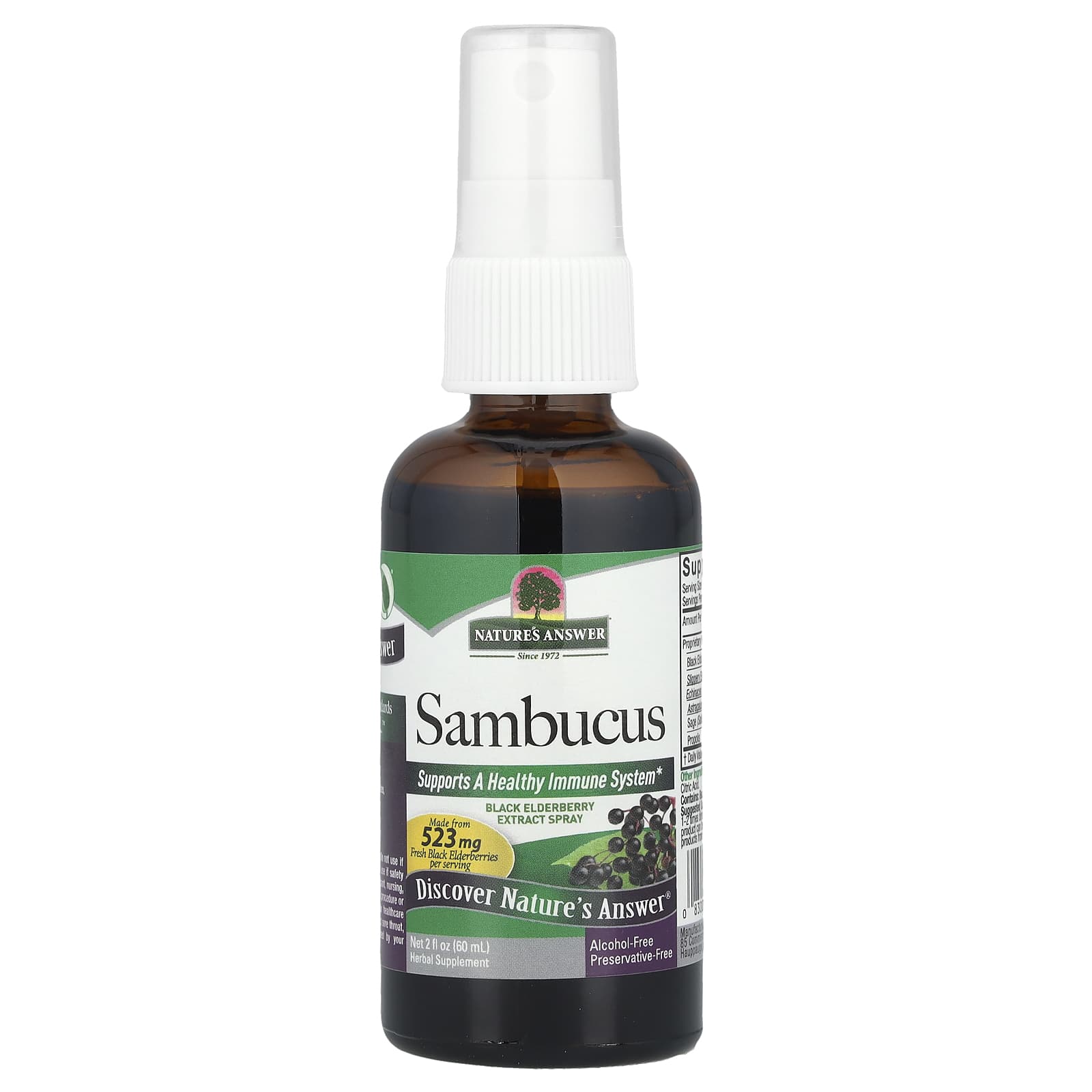 Nature's Answer, Sambucus, Black Elderberry Extract Spray, Alcohol-Free, 2 fl oz (60 ml) - Image 1