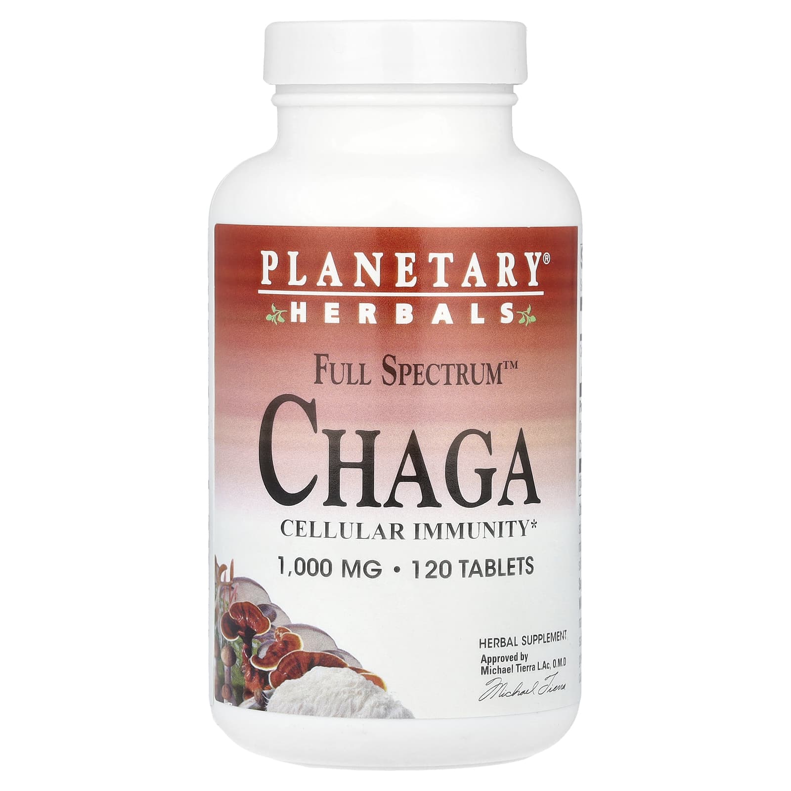 Planetary Herbals, Full Spectrum™ Chaga, 120 Tablets - Image 1