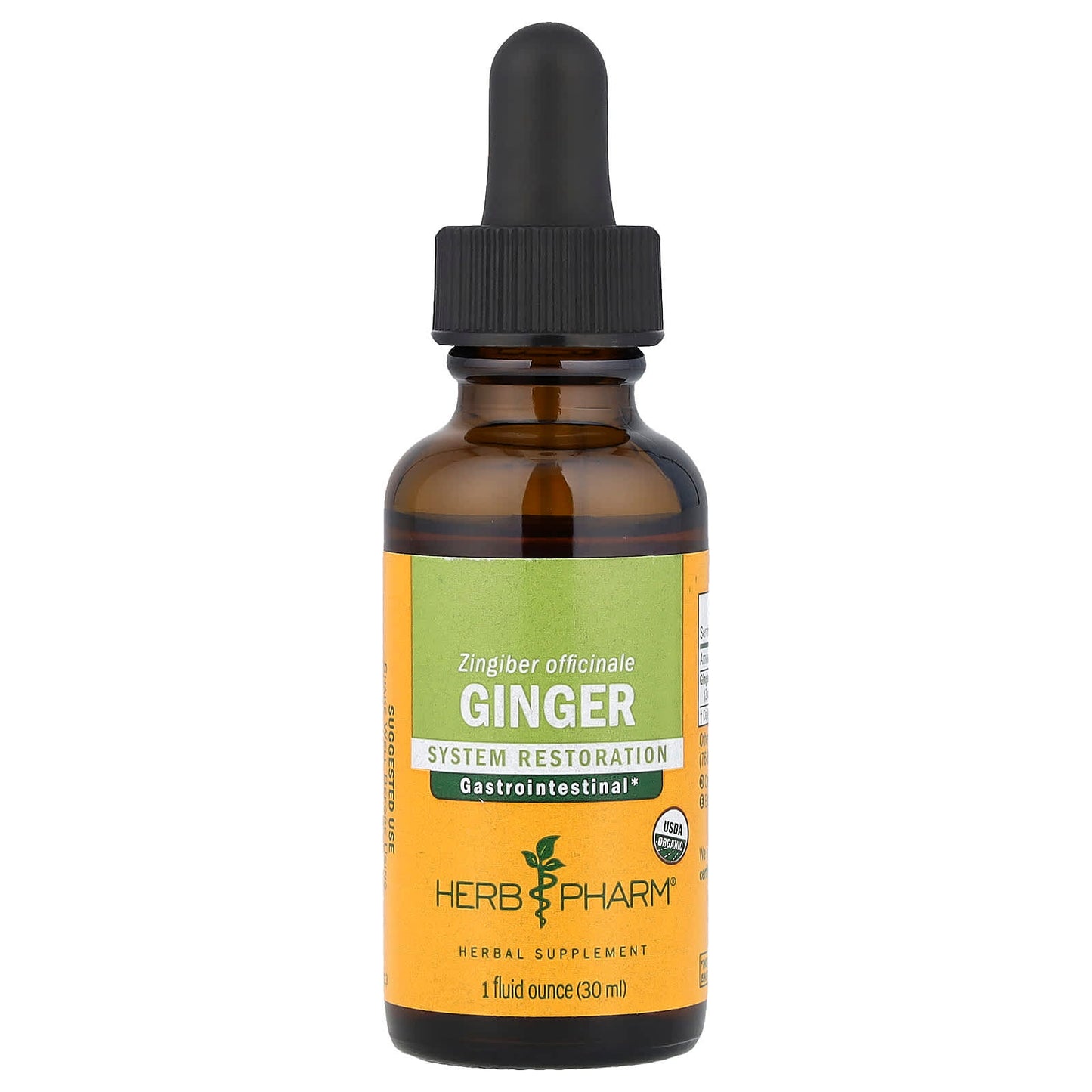 Herb Pharm USDA Organic Ginger Liquid Extract for Digestive Health, 1 fl oz - Image 1