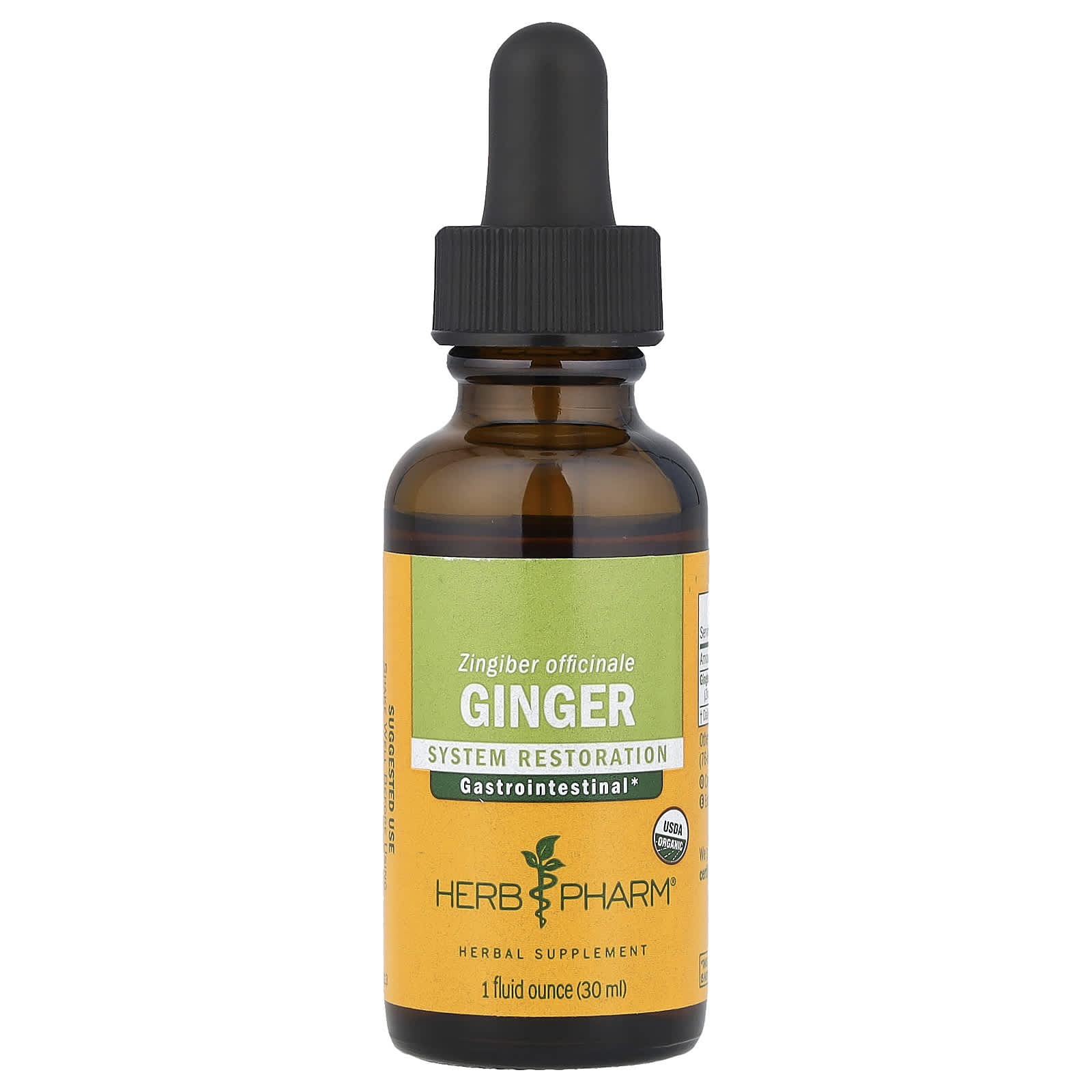 Herb Pharm USDA Organic Ginger Liquid Extract for Digestive Health, 1 fl oz - Image 1