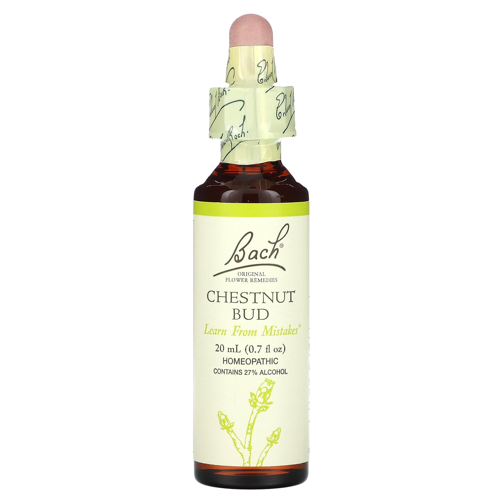 Learn from Past Mistakes with Bach's Chestnut Bud Remedies, 0.7 oz - Image 1