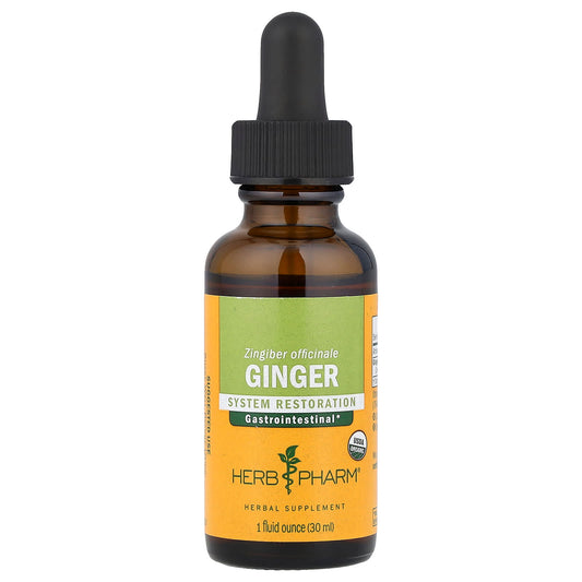 Herb Pharm USDA Organic Ginger Liquid Extract for Digestive Health, 1 fl oz - Image 1