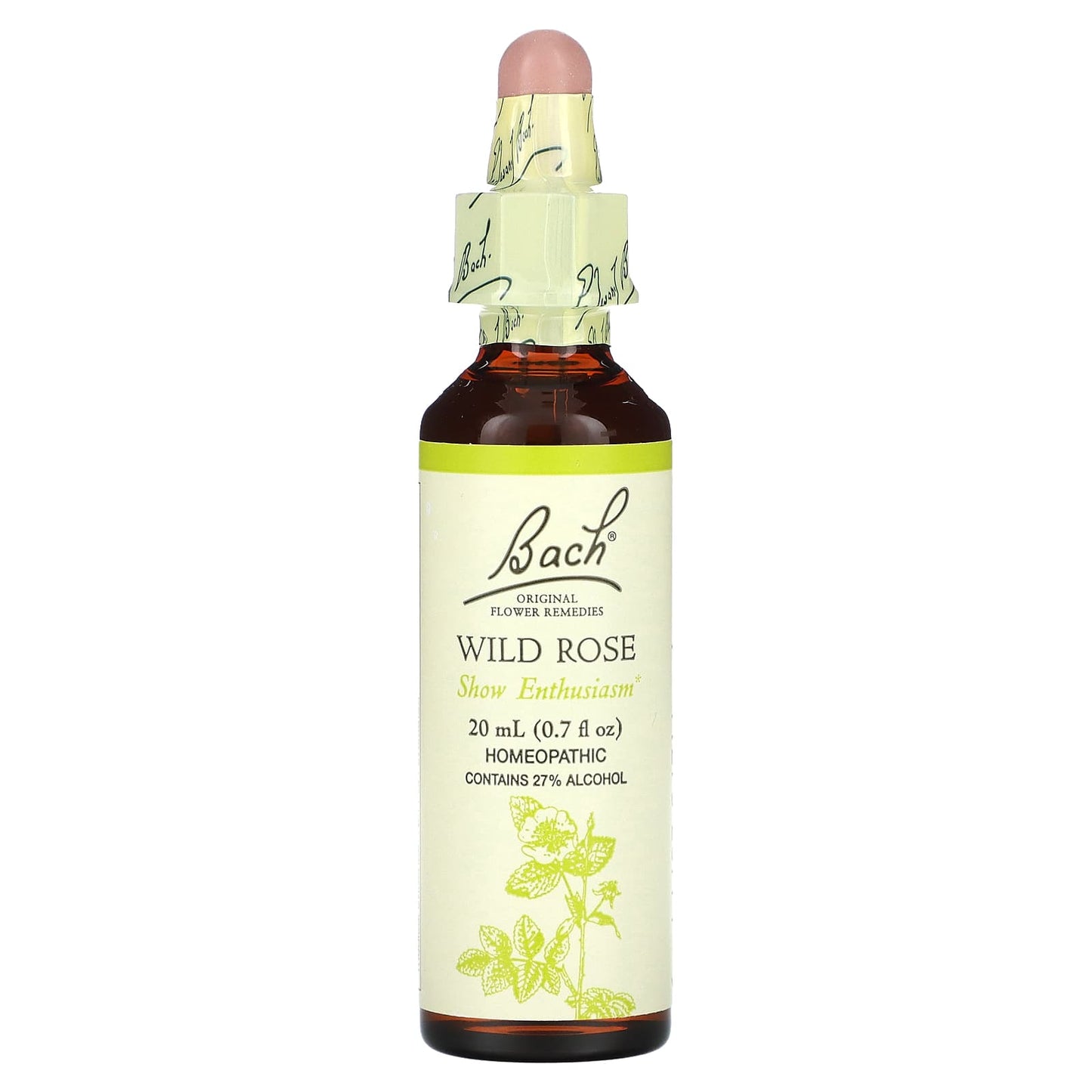 Wild Rose Bach Flower Remedy for Natural Enthusiasm and Passion - Image 1