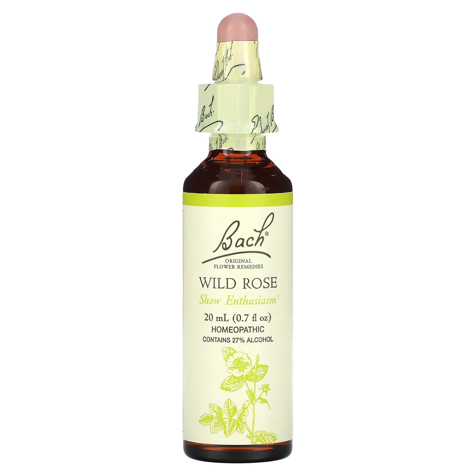 Wild Rose Bach Flower Remedy for Natural Enthusiasm and Passion - Image 1
