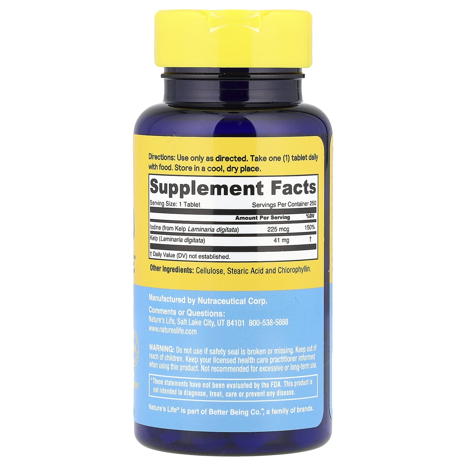 Nature's Life, Icelandic Kelp, 41 mg, 250 Tablets
